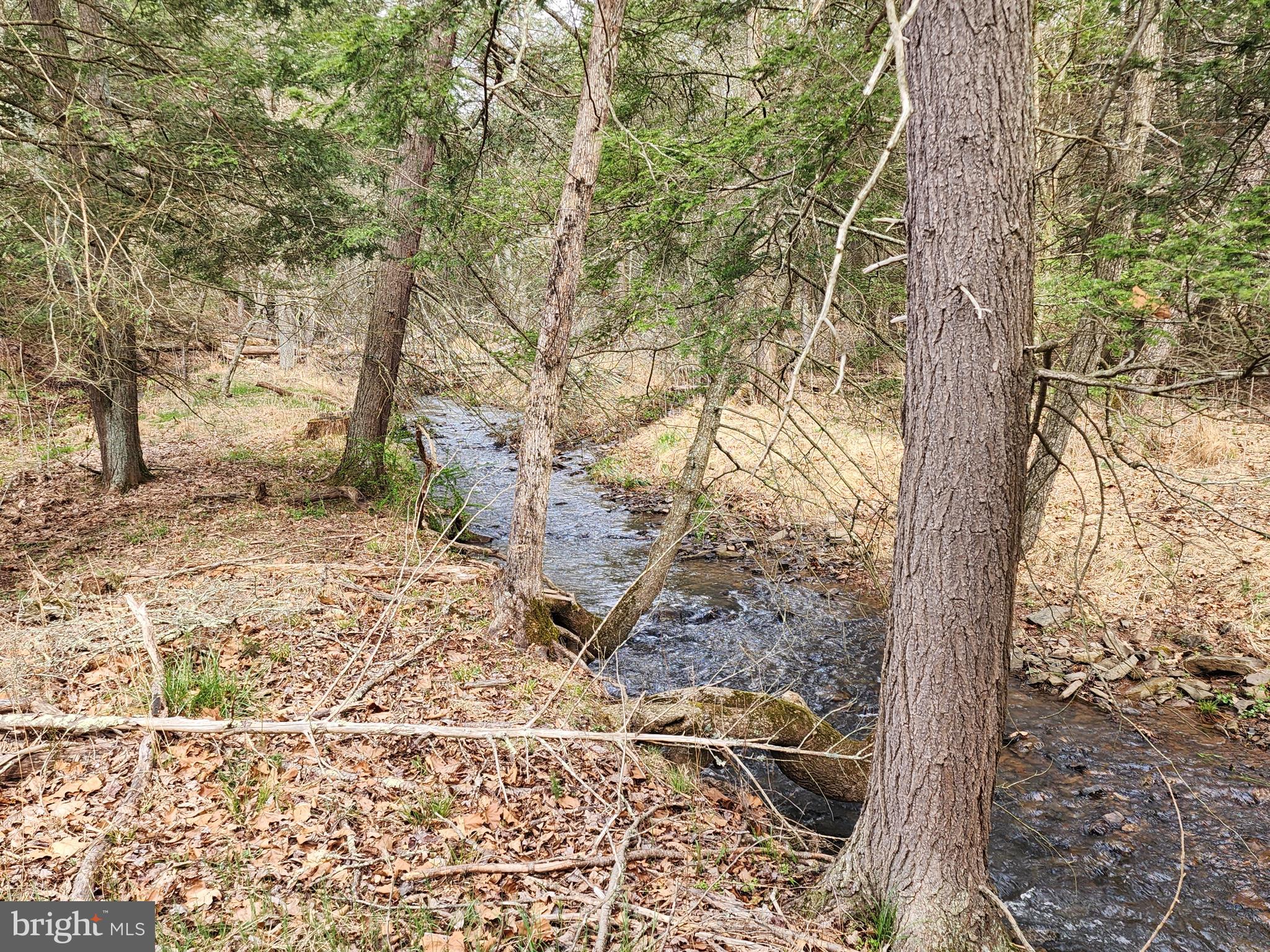 QUIVEY'S GROVE - Land