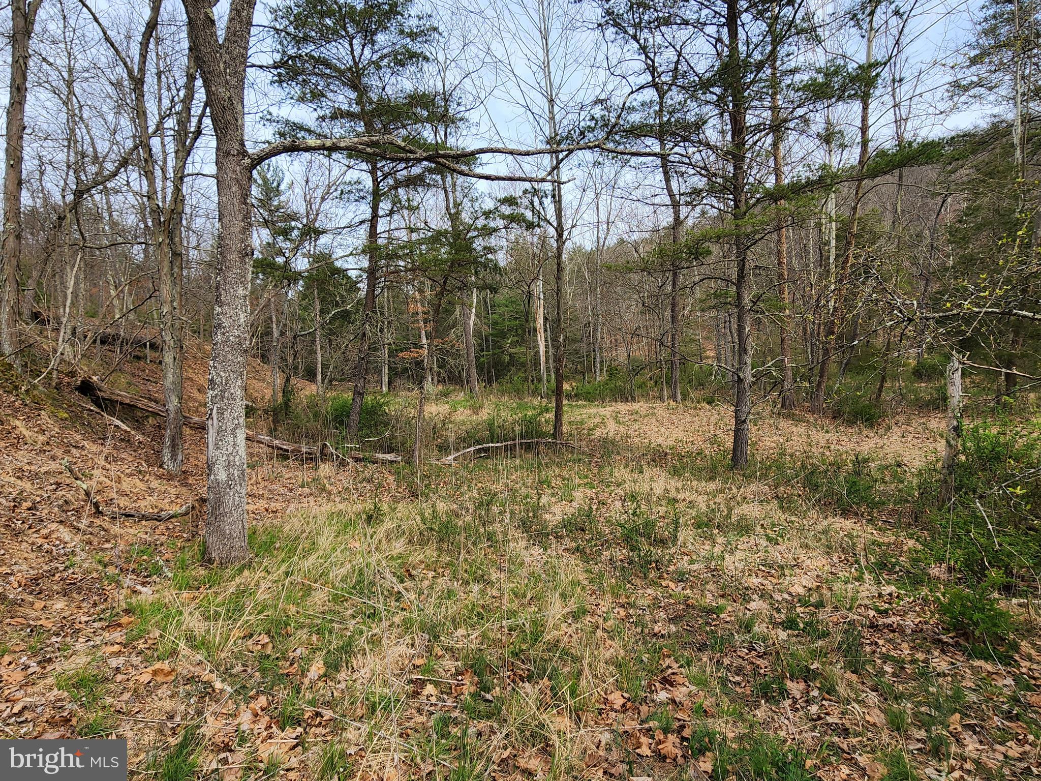 QUIVEY'S GROVE - Land