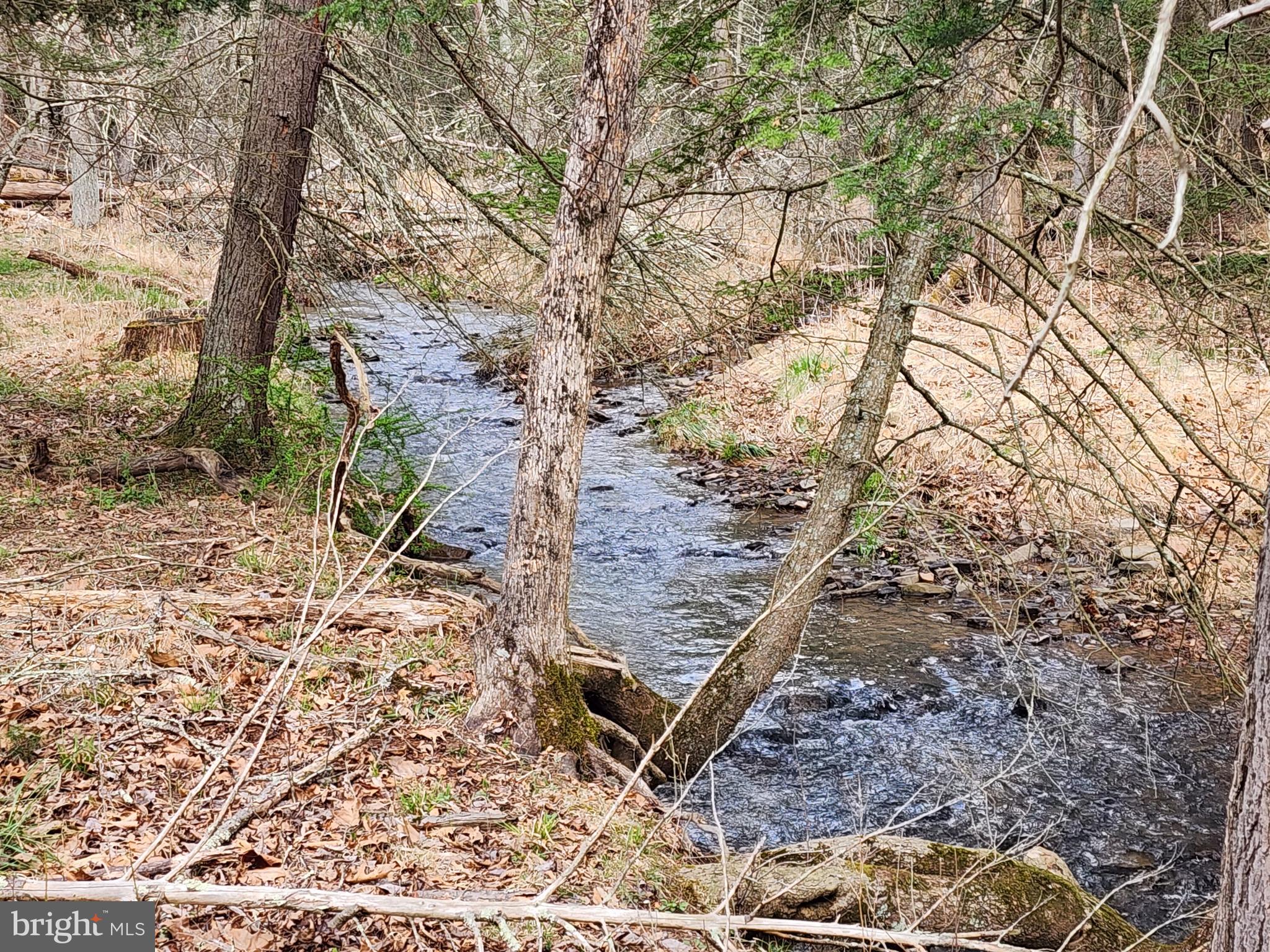 QUIVEY'S GROVE - Land