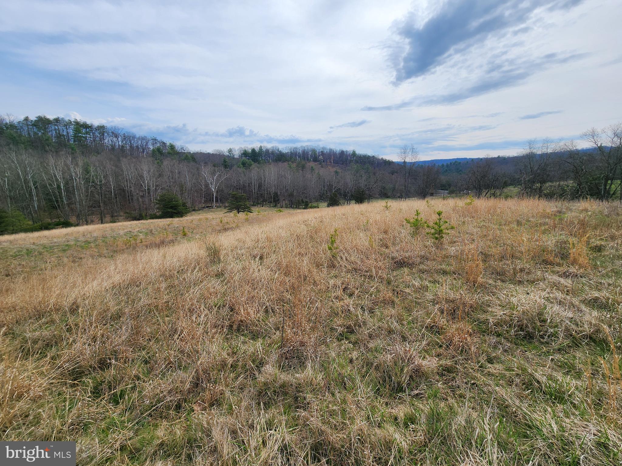 QUIVEY'S GROVE - Land