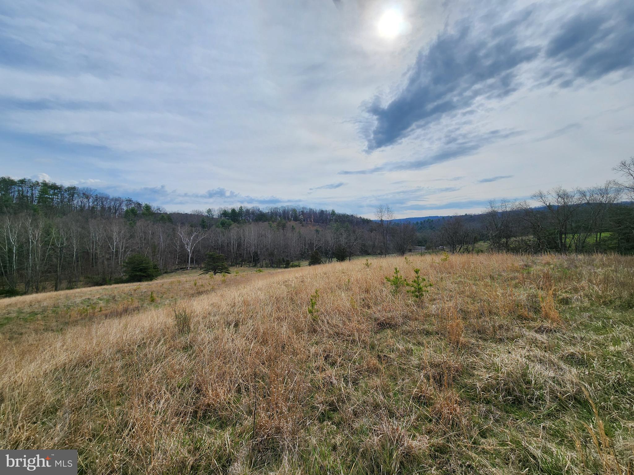 QUIVEY'S GROVE - Land