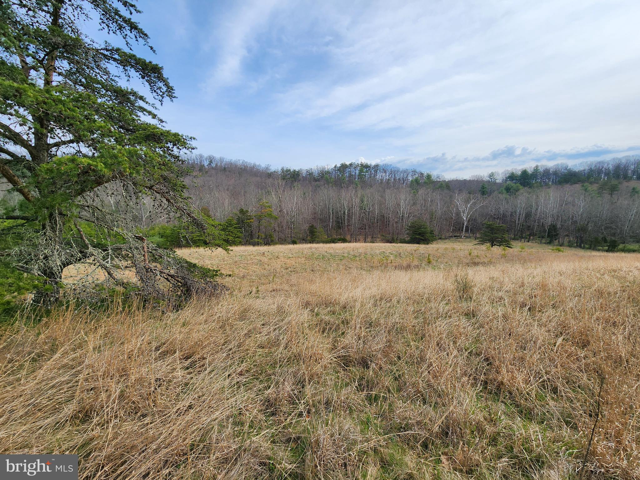 QUIVEY'S GROVE - Land