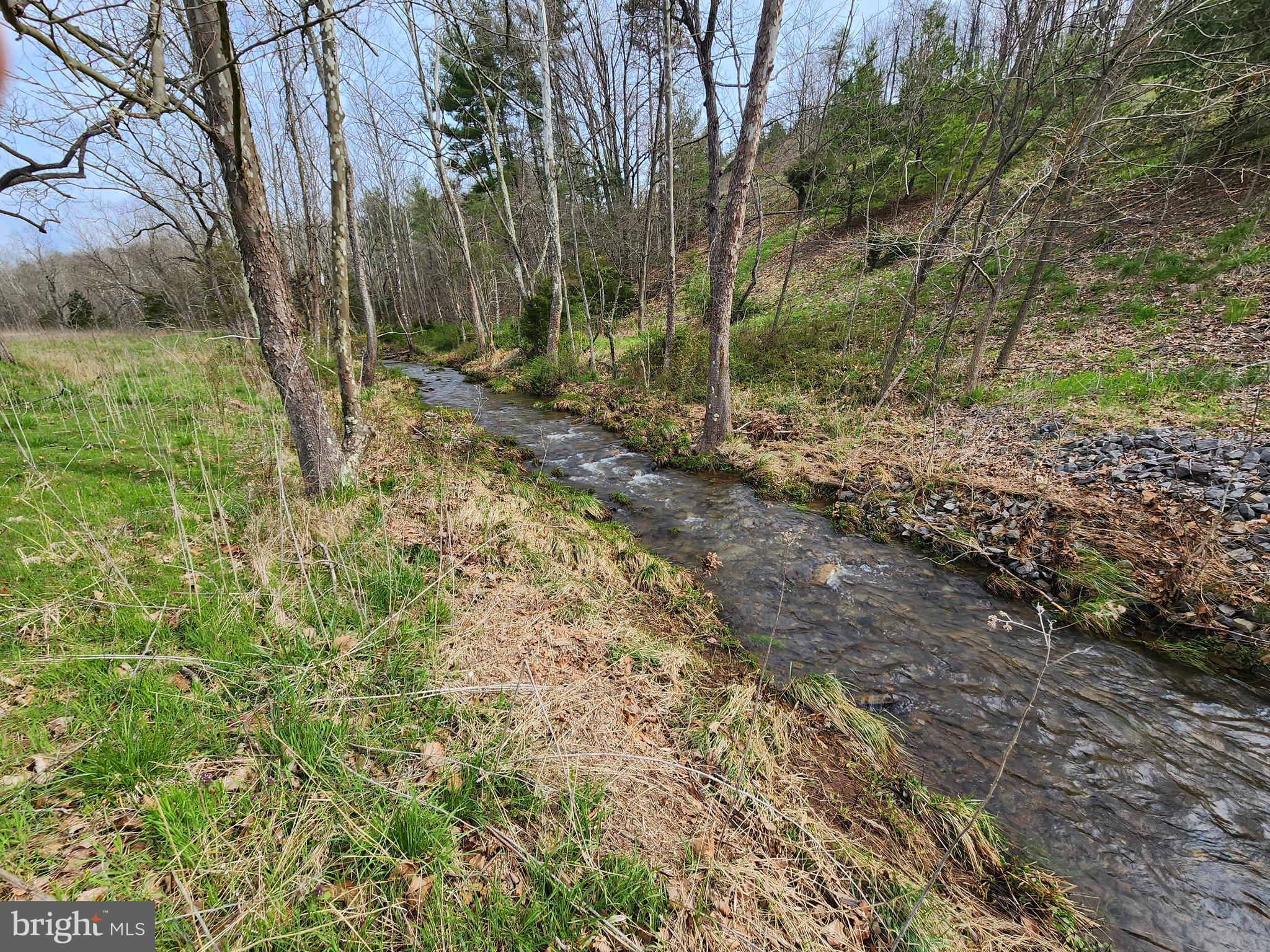 QUIVEY'S GROVE - Land