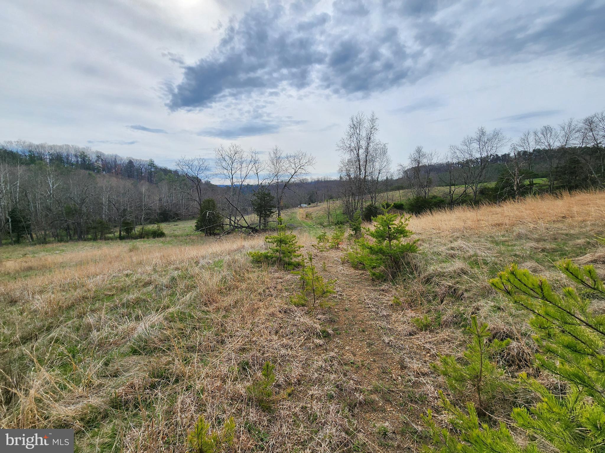 QUIVEY'S GROVE - Land