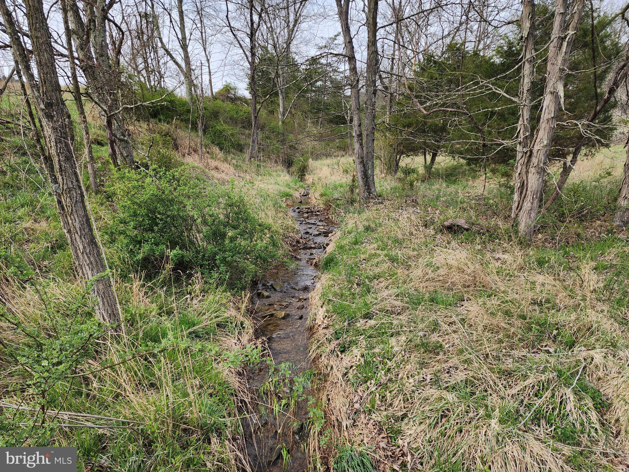 QUIVEY'S GROVE - Land