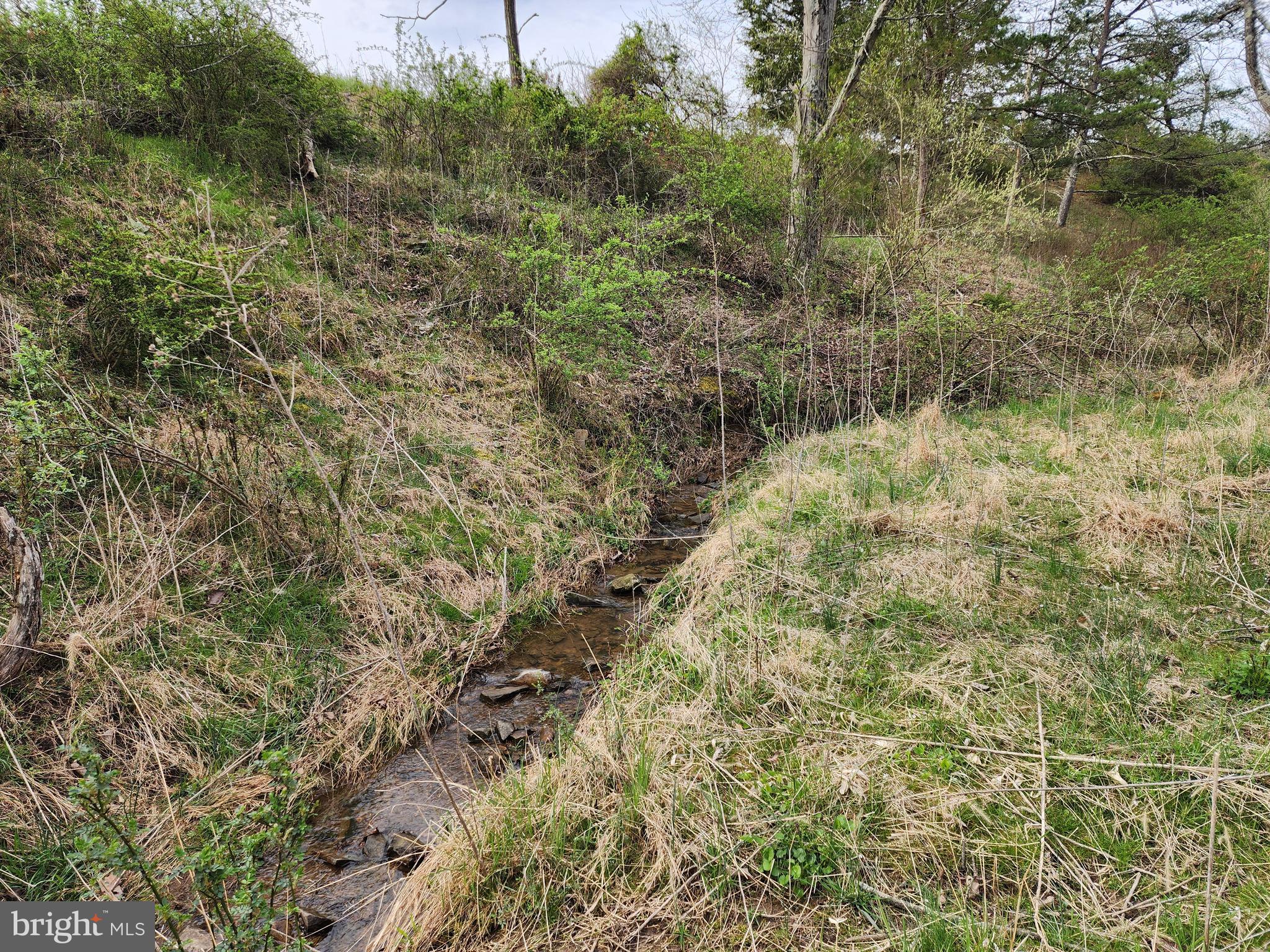 QUIVEY'S GROVE - Land