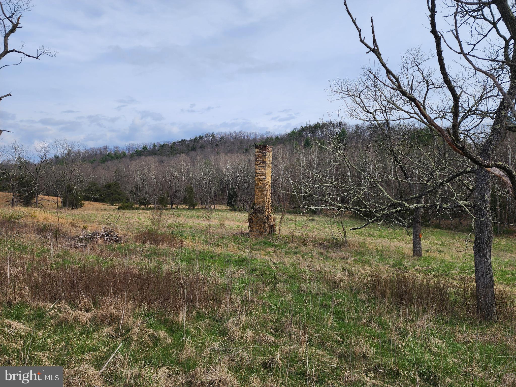 QUIVEY'S GROVE - Land