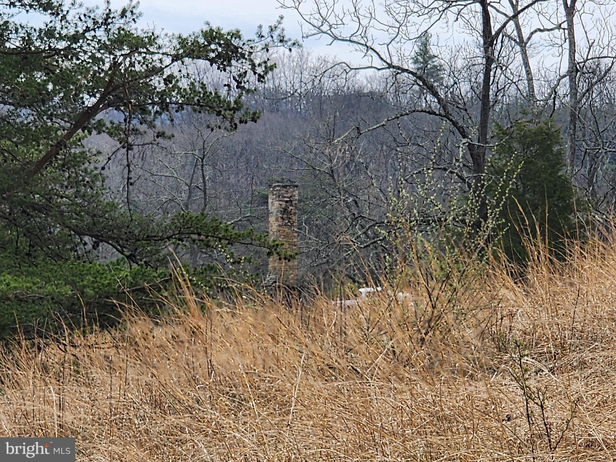 QUIVEY'S GROVE - Land