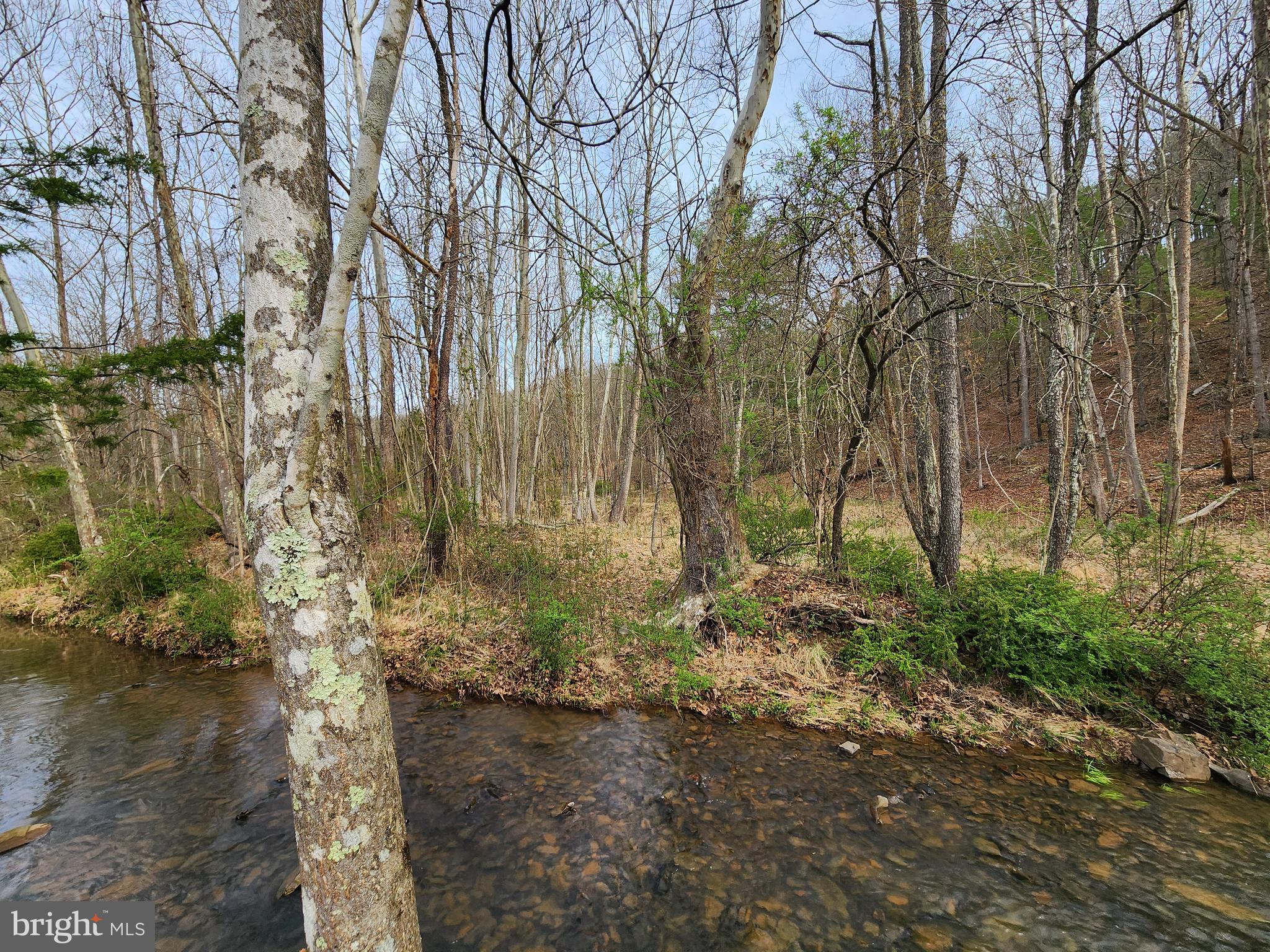 QUIVEY'S GROVE - Land