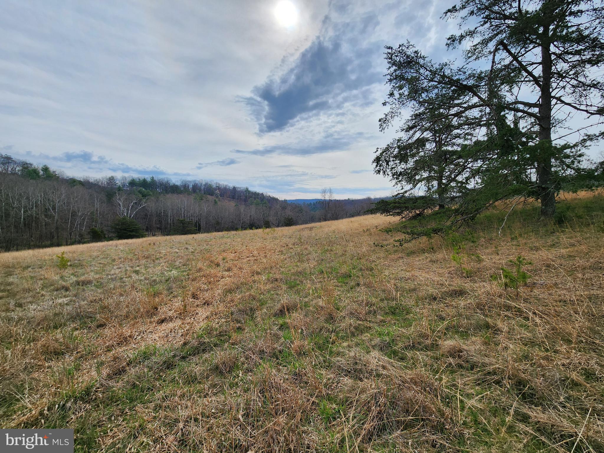 QUIVEY'S GROVE - Land