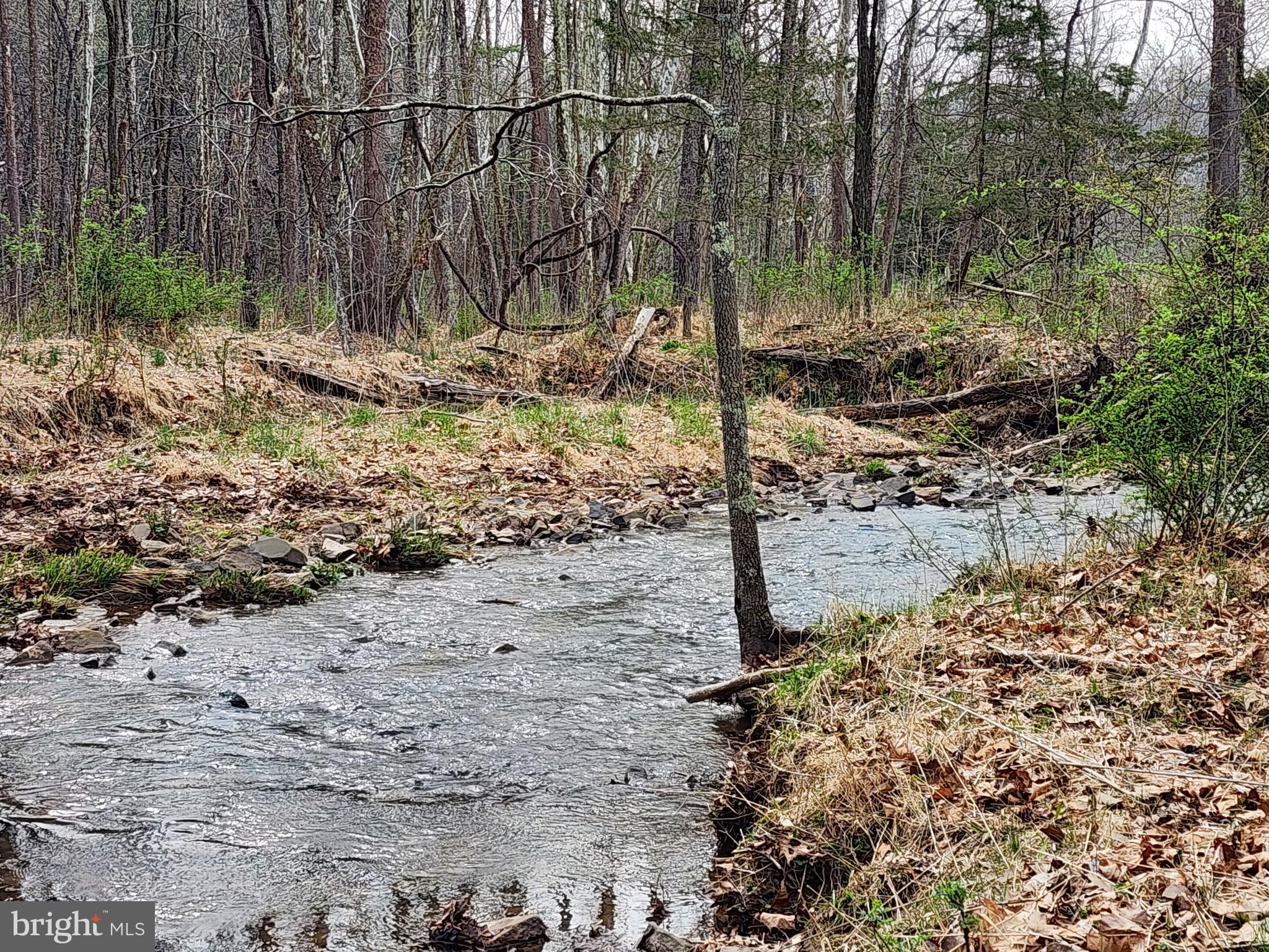 QUIVEY'S GROVE - Land