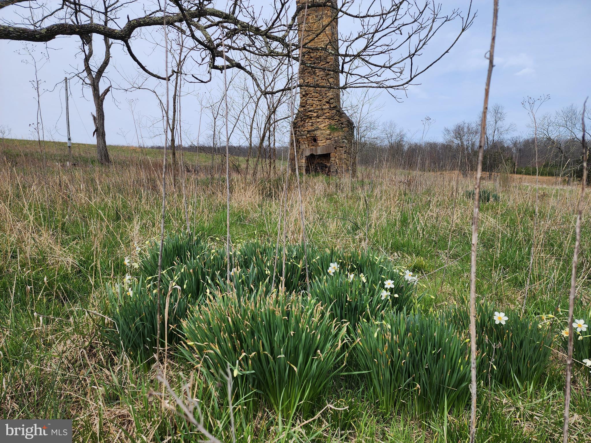 QUIVEY'S GROVE - Land