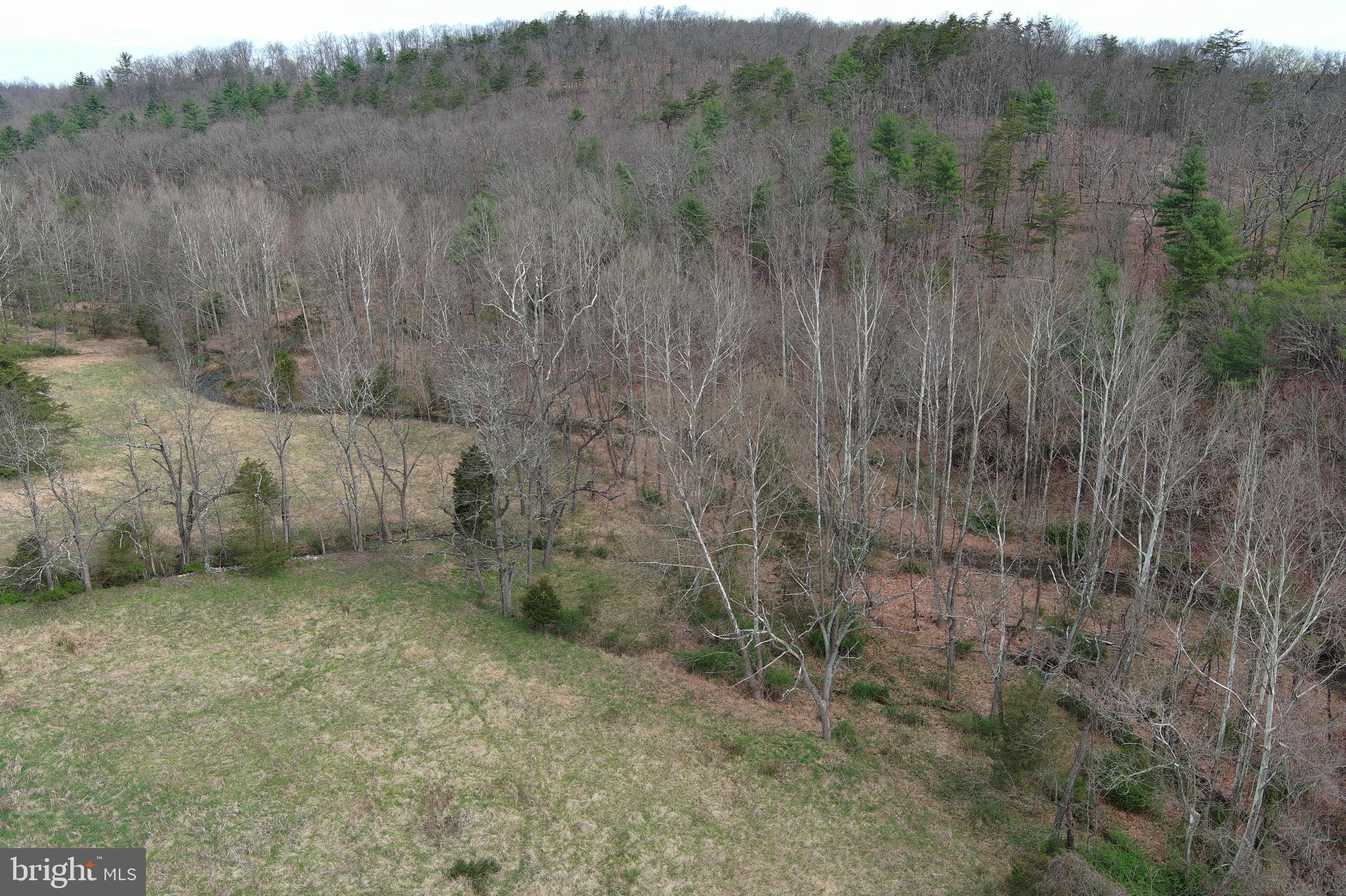 QUIVEY'S GROVE - Land