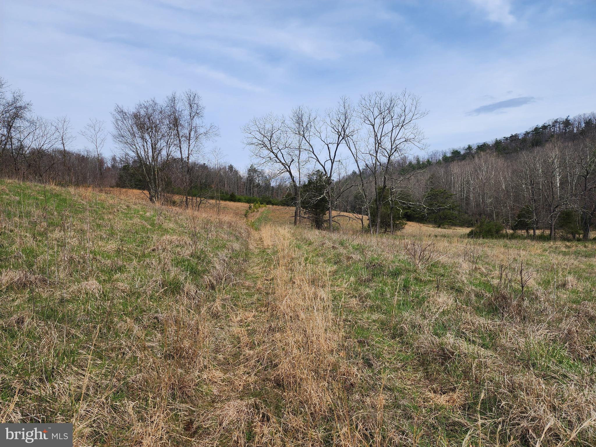 QUIVEY'S GROVE - Land