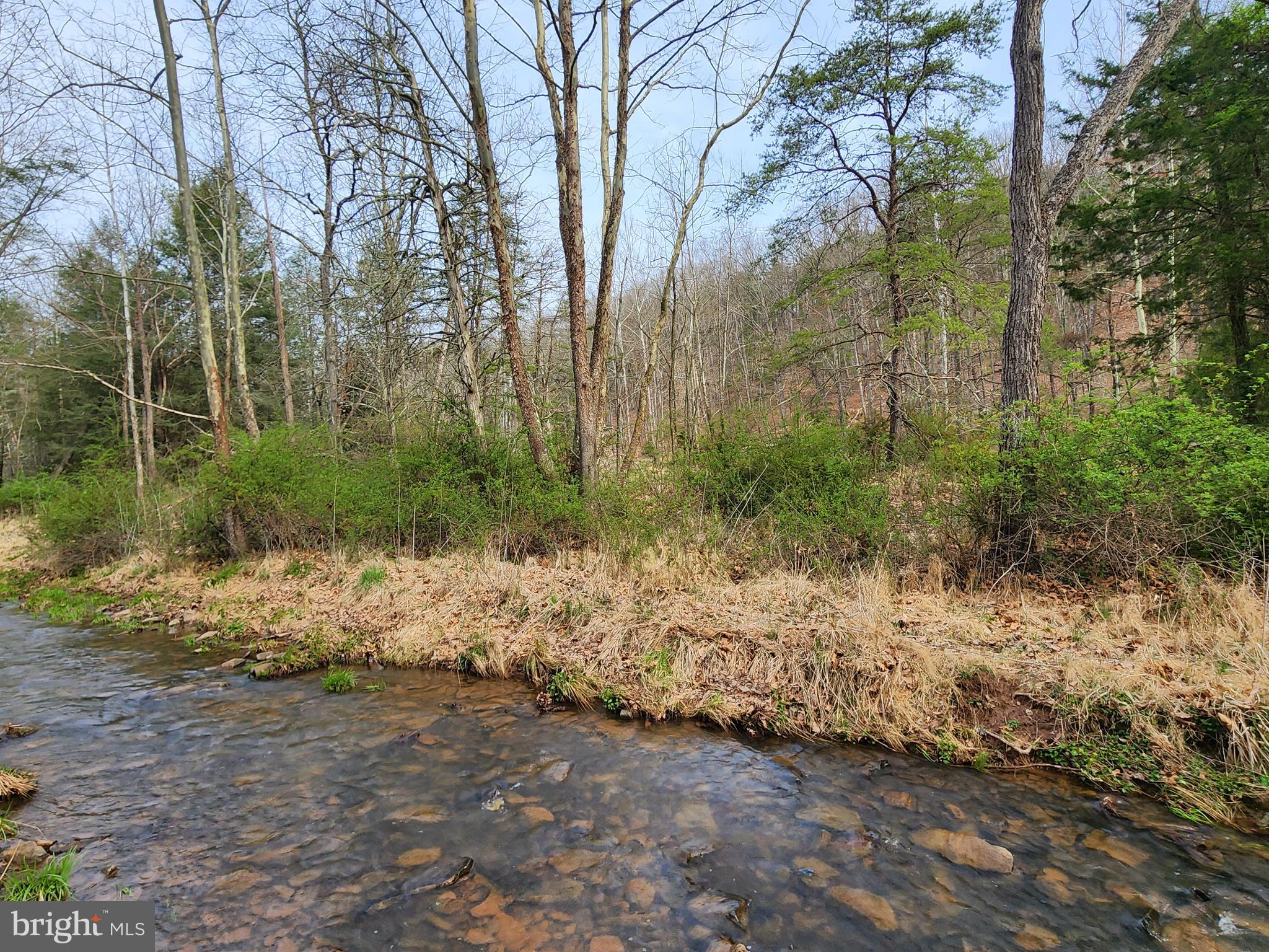 QUIVEY'S GROVE - Land