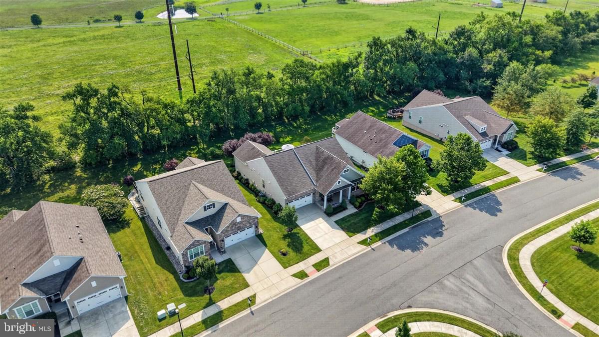 239 SILKY DOGWOOD LANE