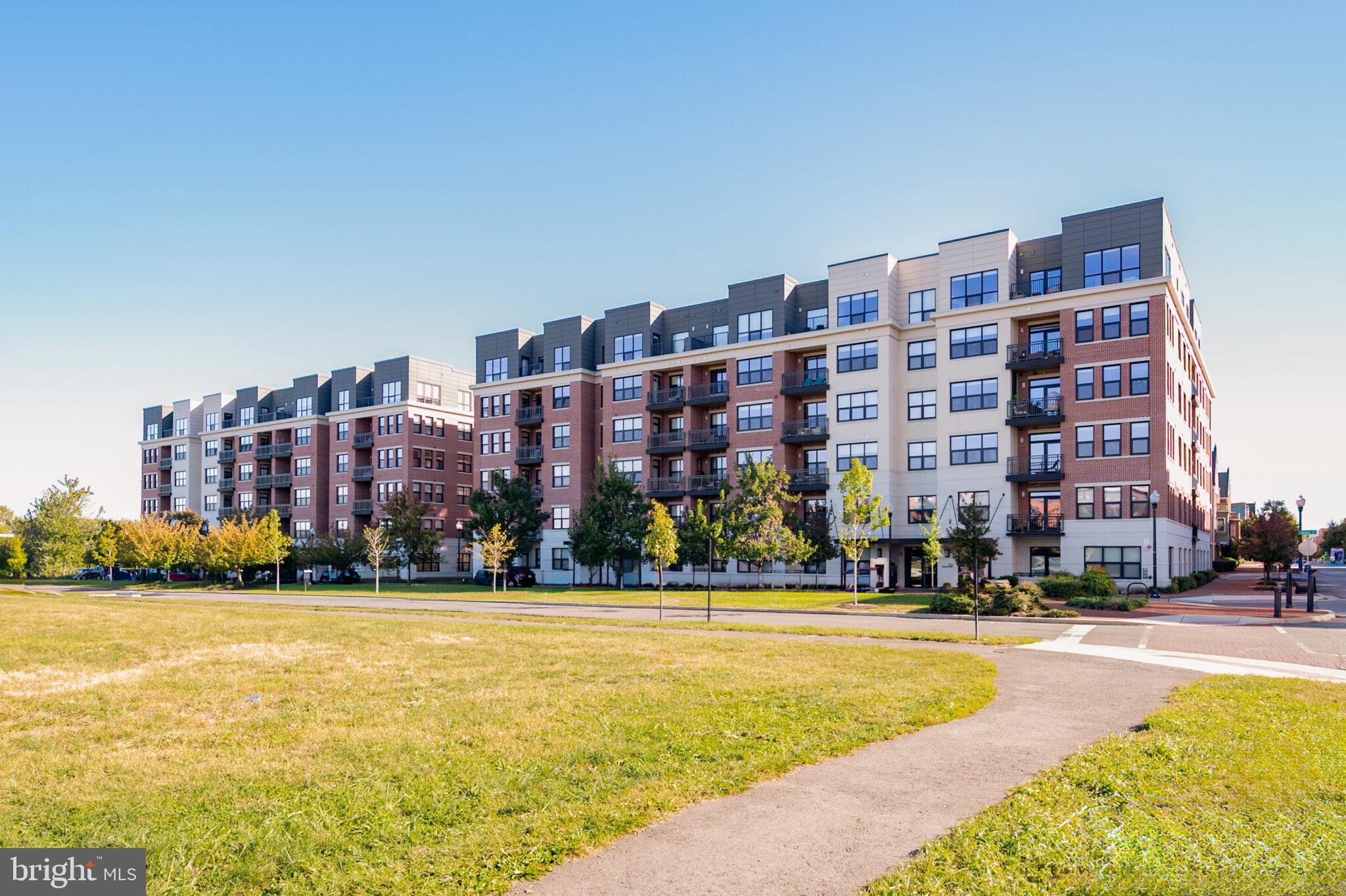 701 SWANN AVENUE 611