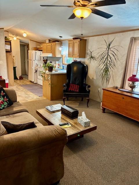 SANDHILL MOBILE HOME PARK - Residential