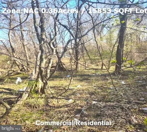 MLS: MDPG2144832
