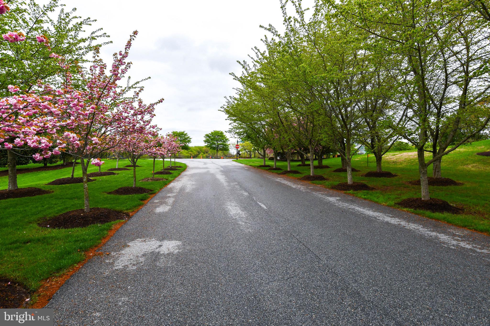 MARLBORO RIDGE - Residential