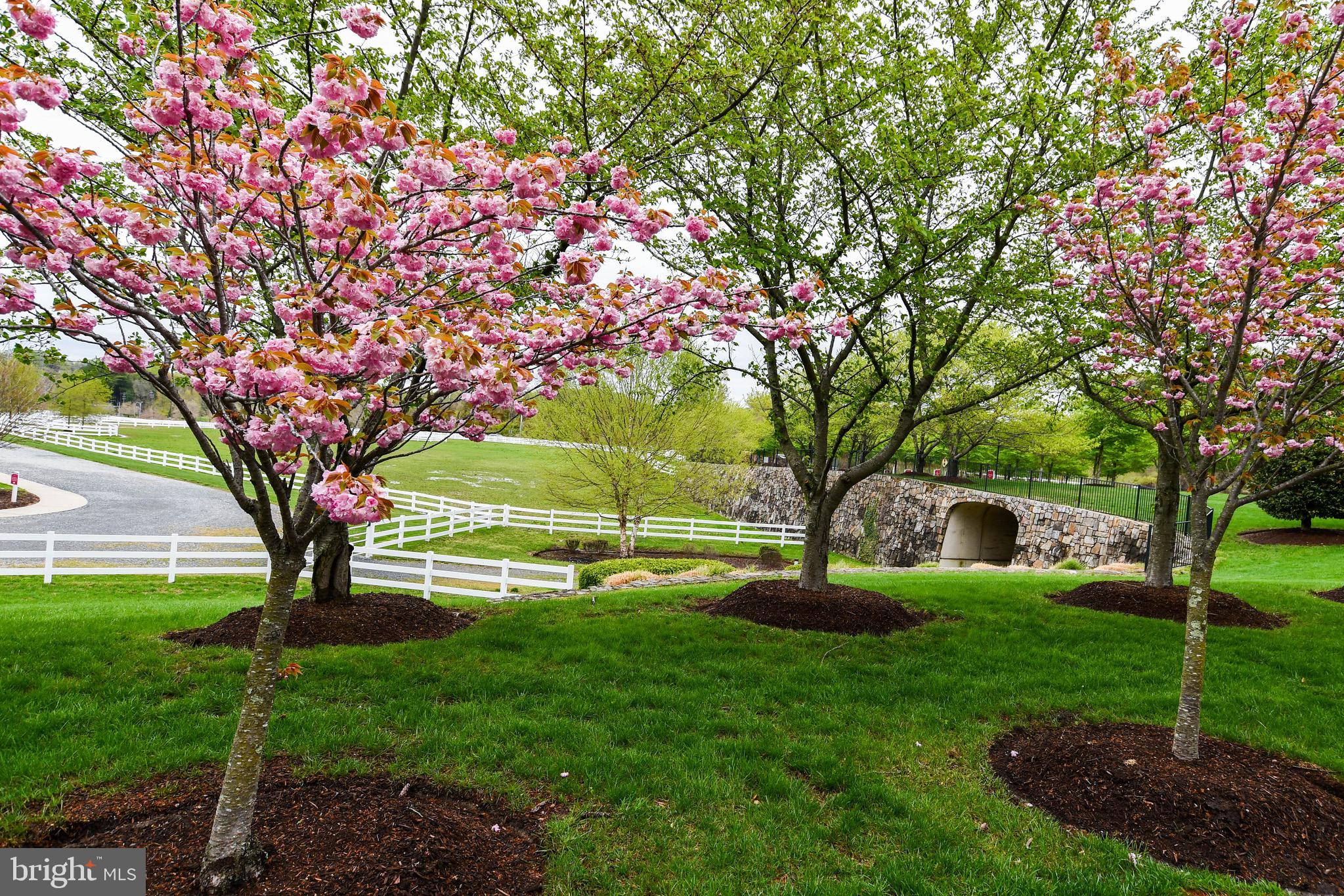 MARLBORO RIDGE - Residential