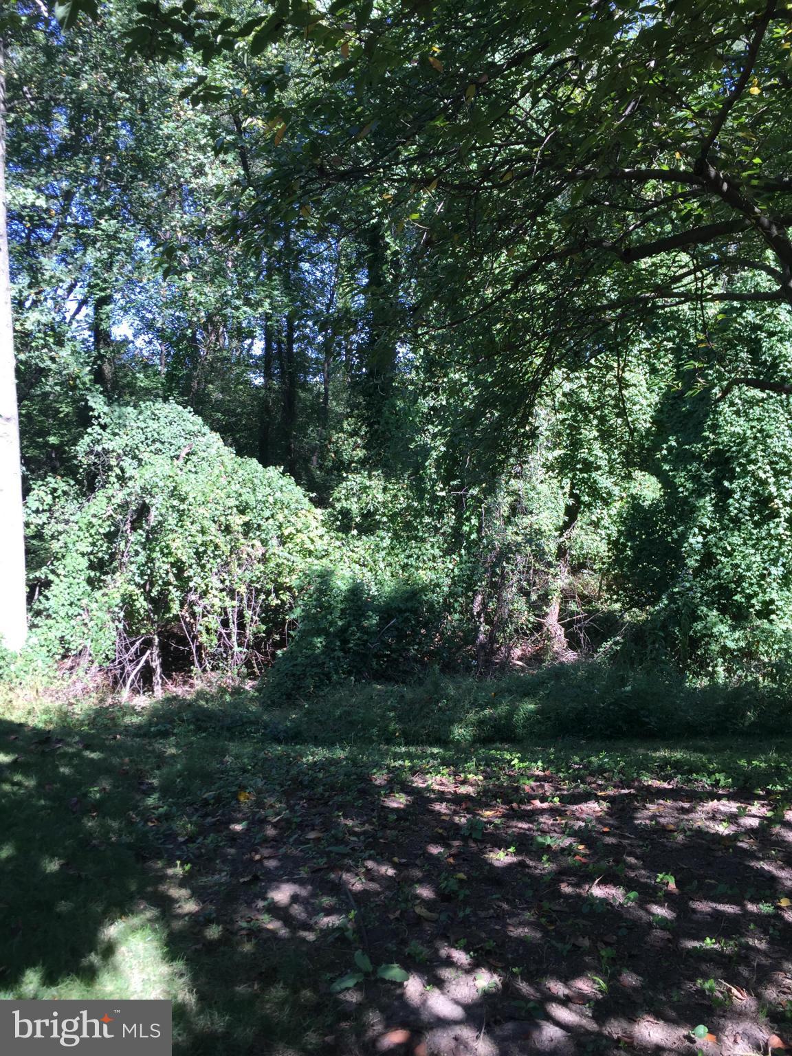 DONCASTER VILLAGE - Residential