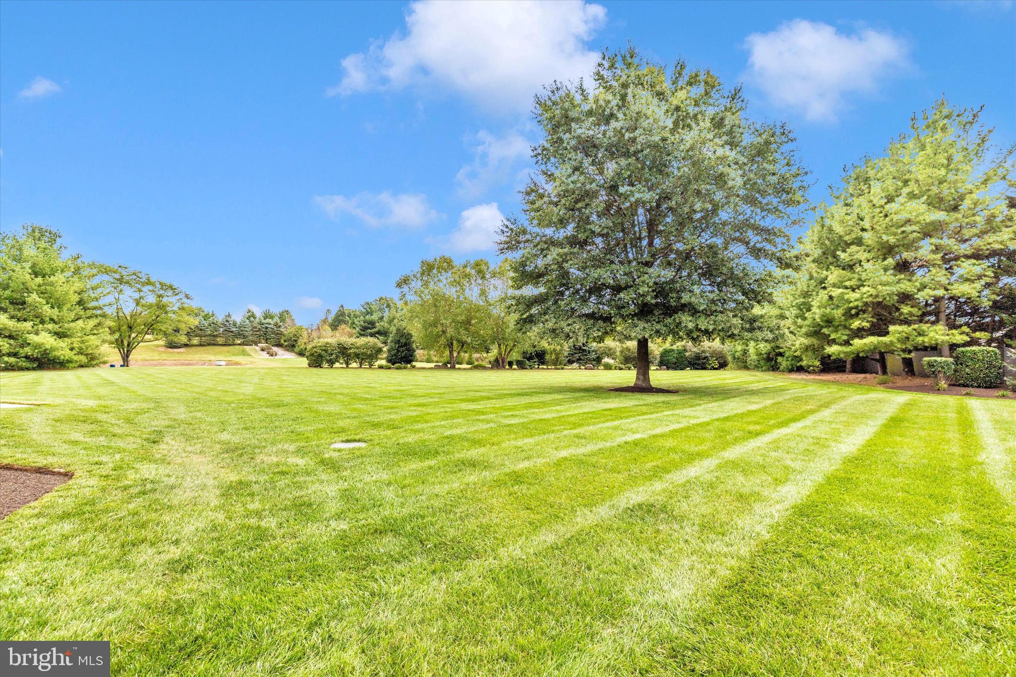 OLD FREDERICK ESTATES - Residential