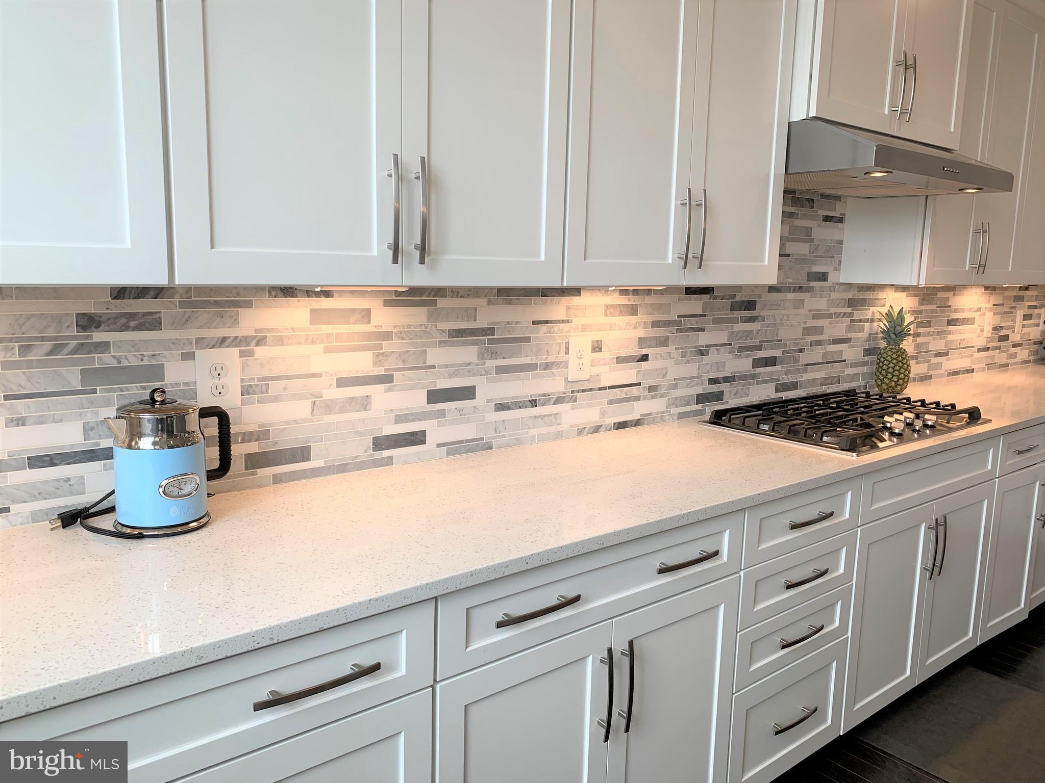 DOMINION VALLEY - Residential