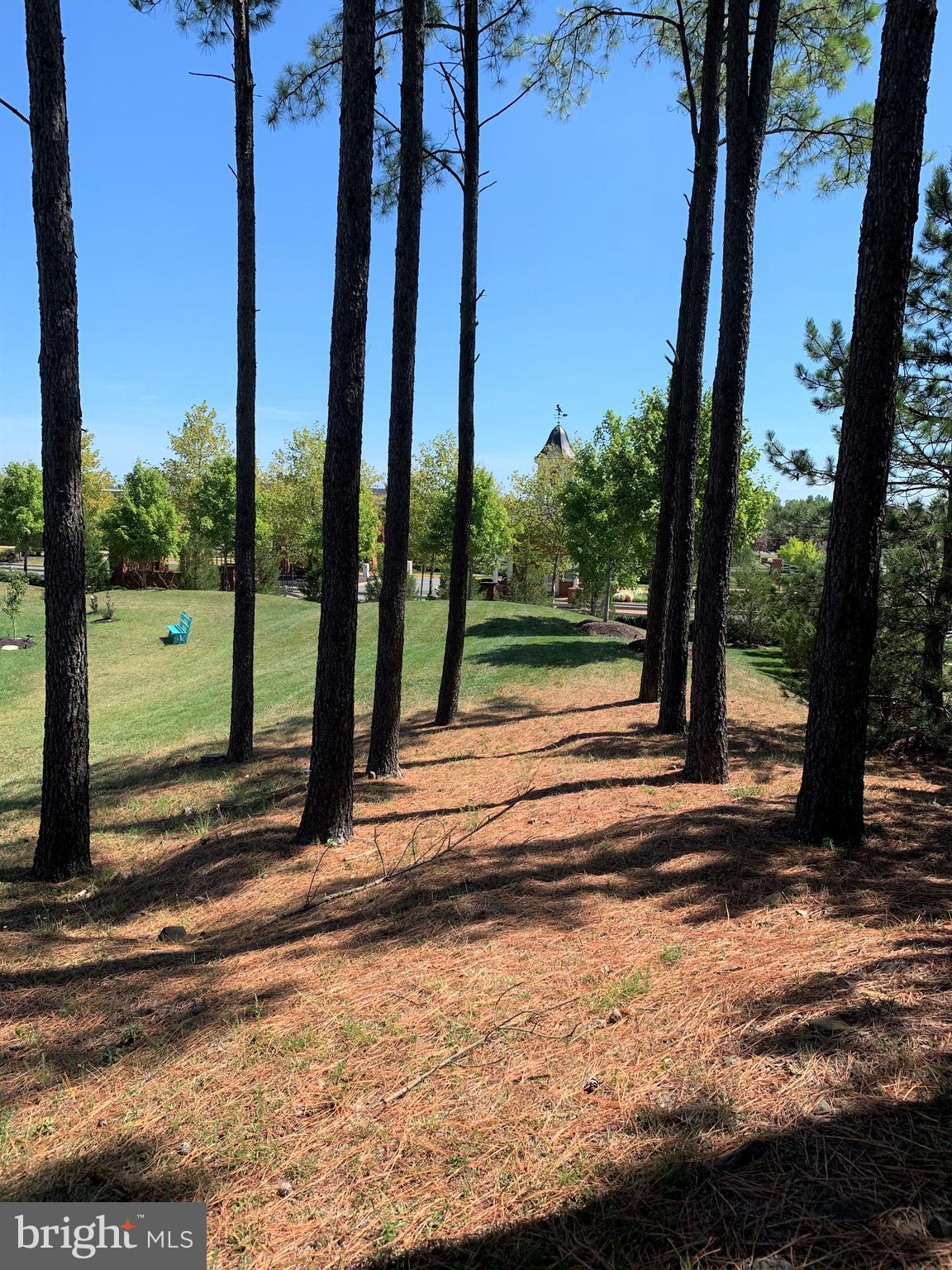 DOMINION VALLEY - Residential