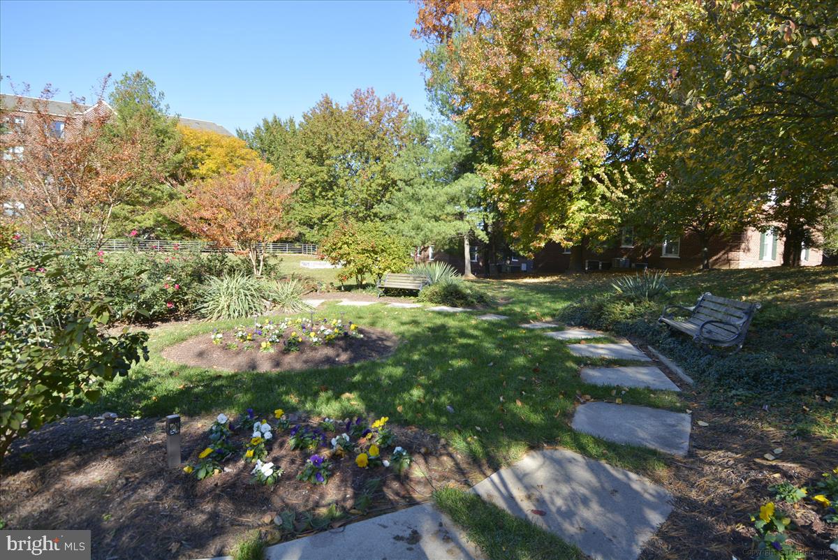 ASTORIA CONDOMINIUM - Residential