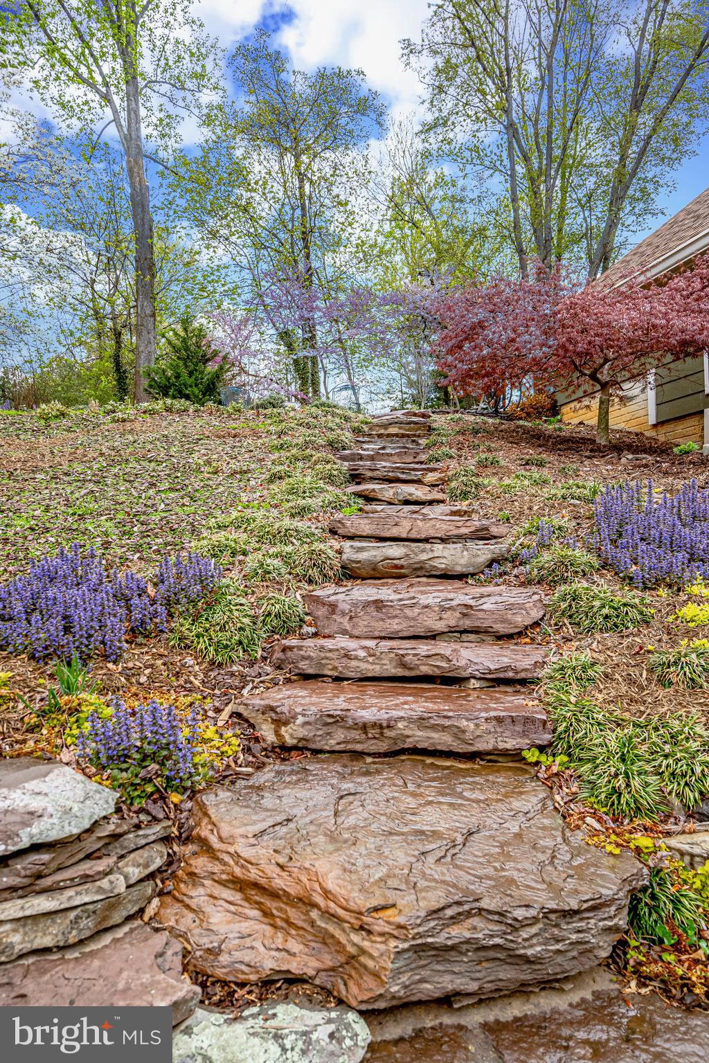 BARCROFT HILLS - Residential