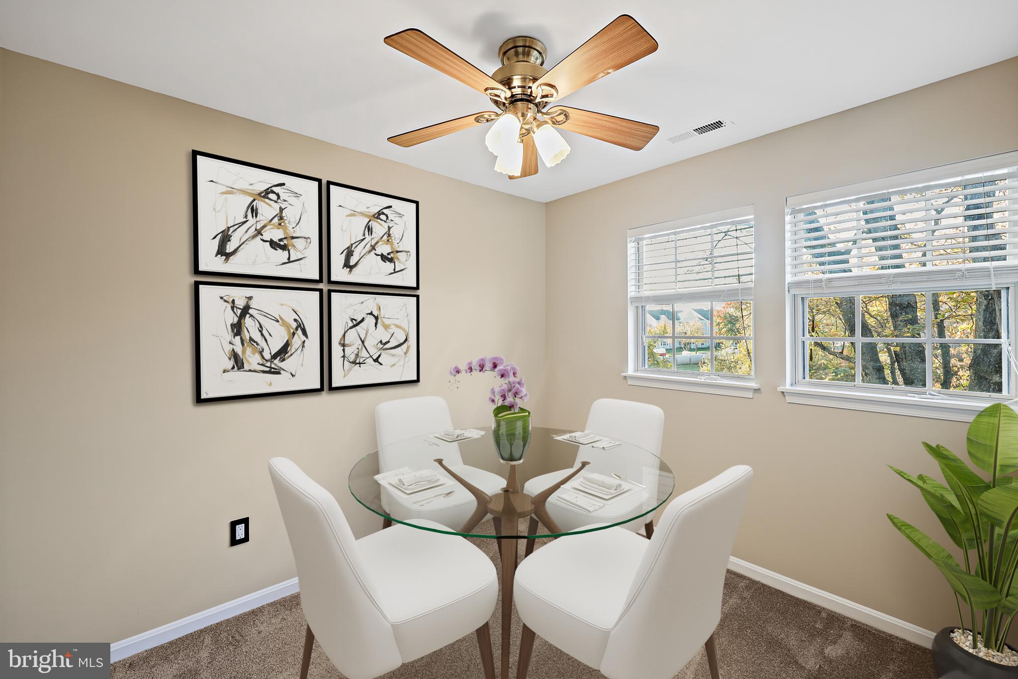 VILLAGE OF MONTGOMERY RUN - Residential