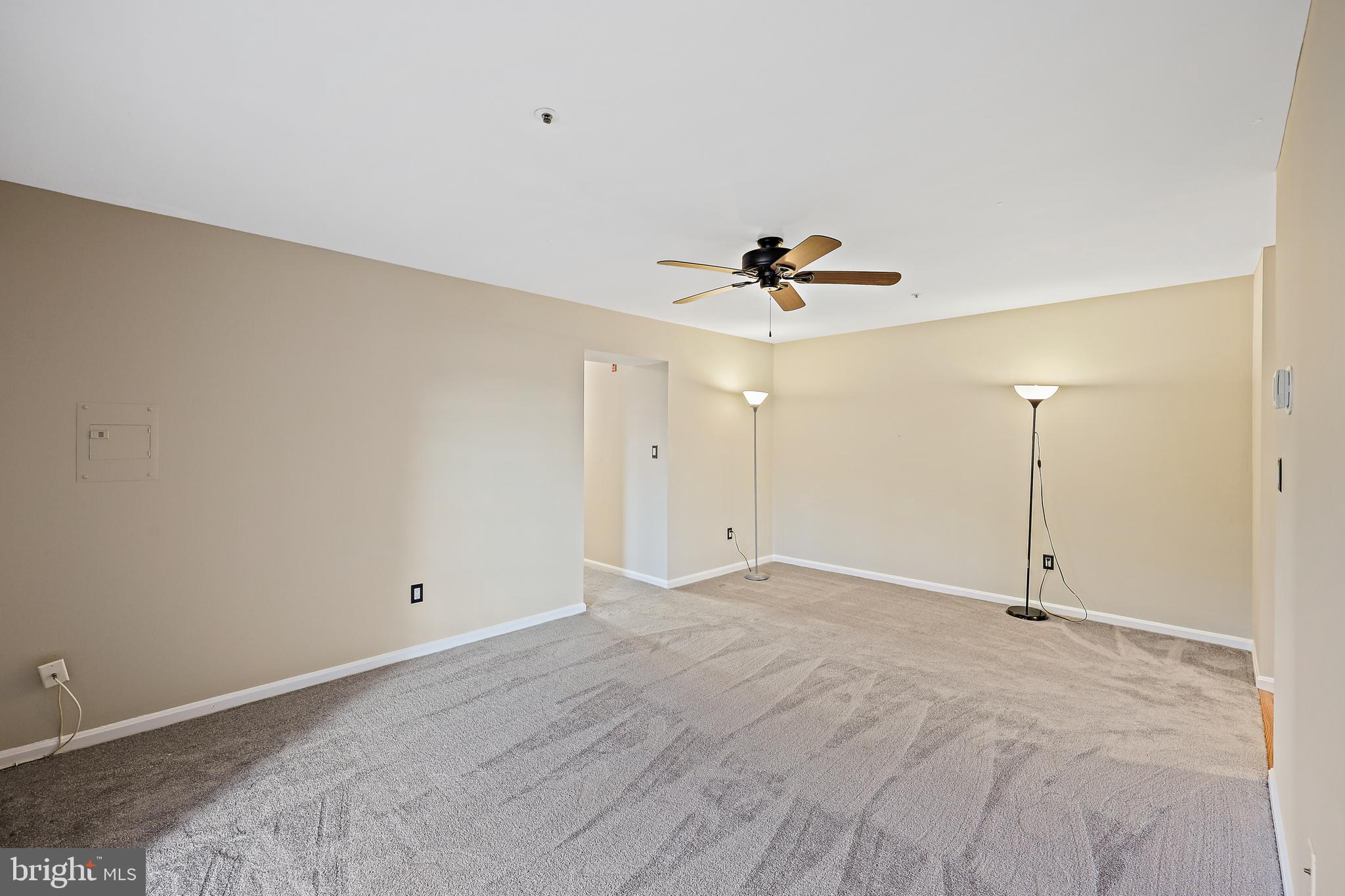 VILLAGE OF MONTGOMERY RUN - Residential