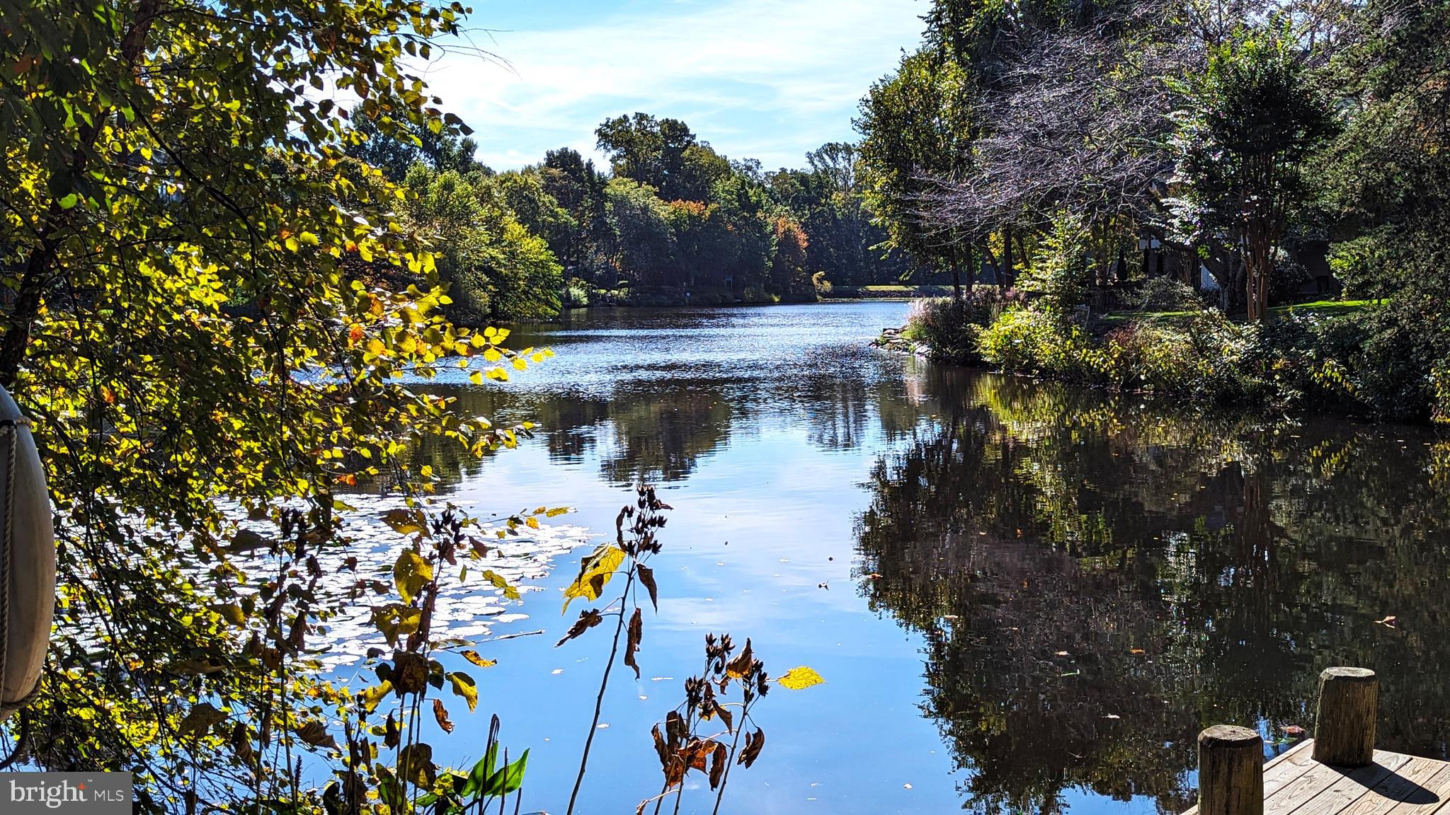 RESTON - Residential Lease