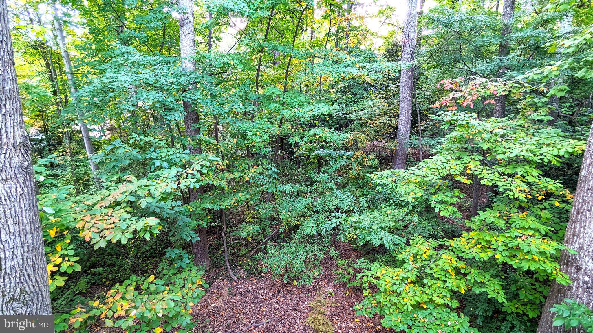 RESTON - Residential Lease