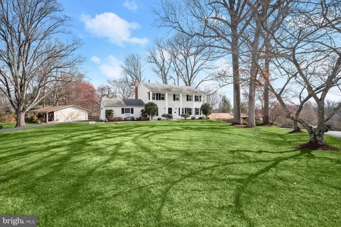 listing image 42