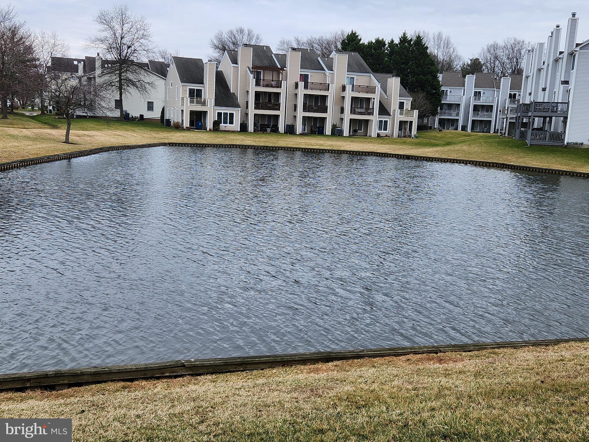 BAYSIDE - Residential