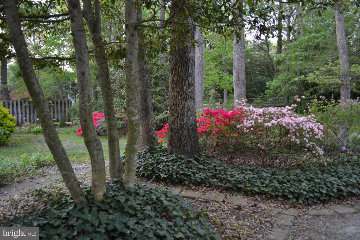 KILBIRNIE ESTATES - Residential