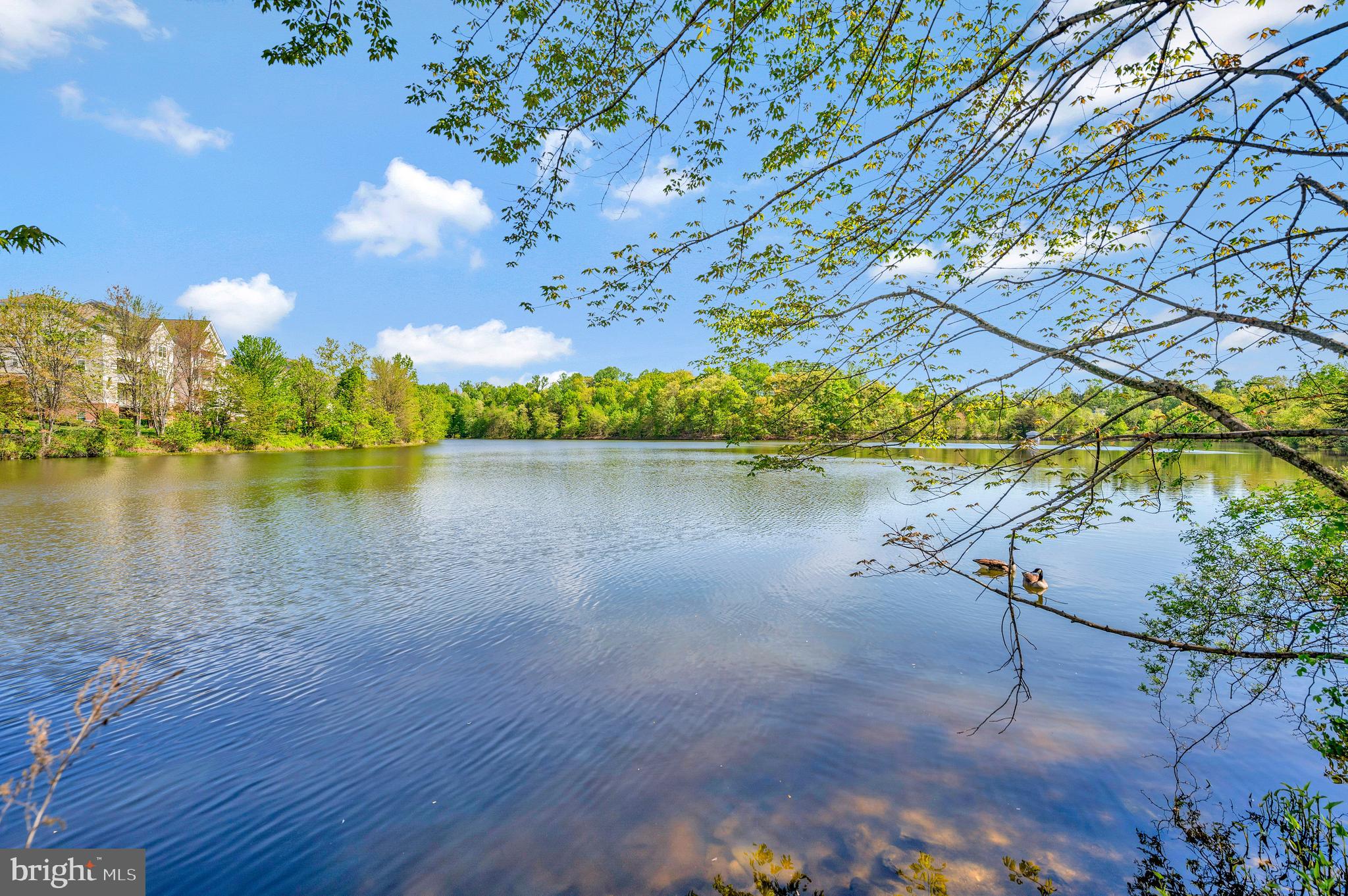 MANCHESTER LAKES - Residential