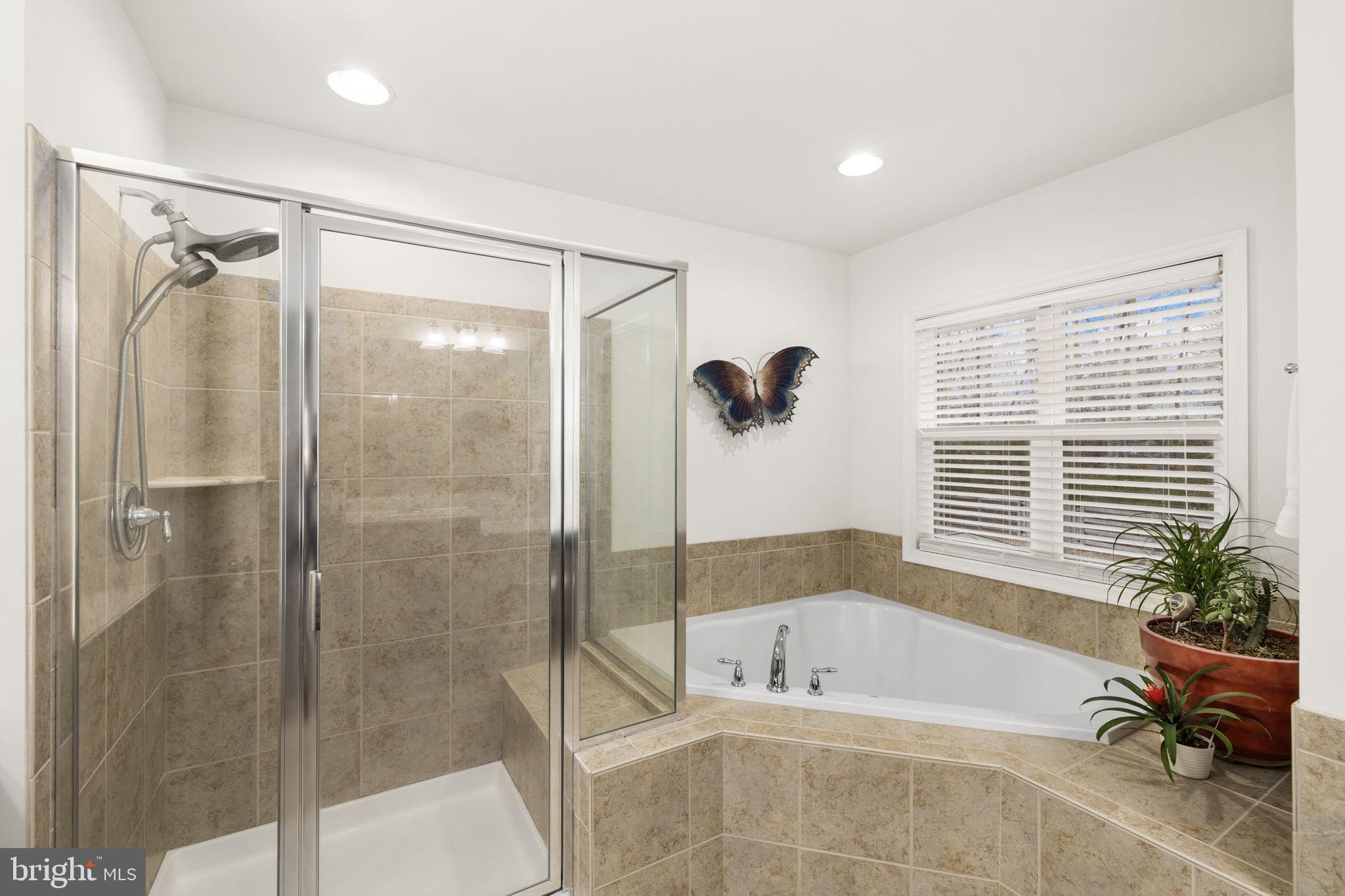 STAFFORD ESTATES - Residential