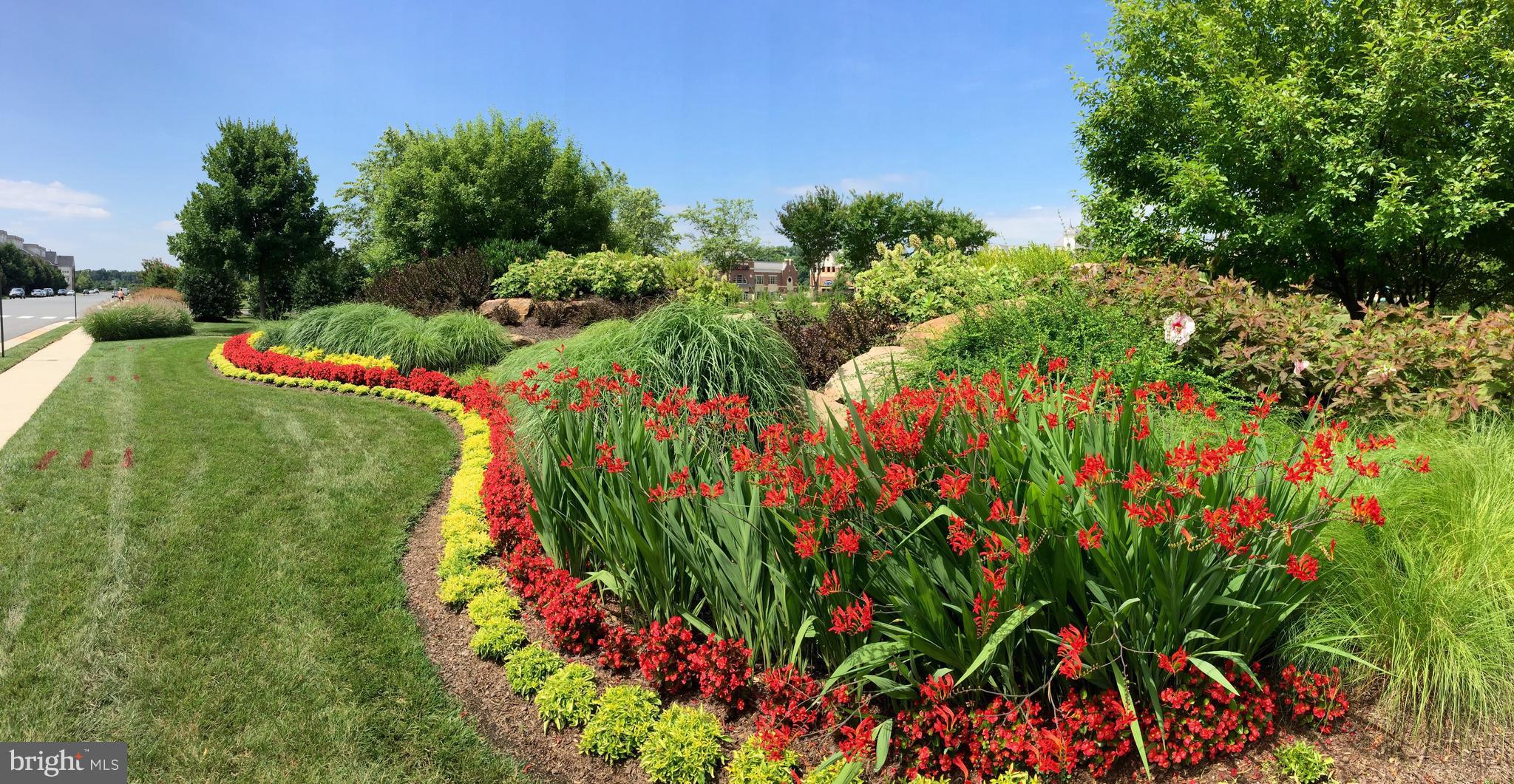 BRAMBLETON OVERLOOK - Residential