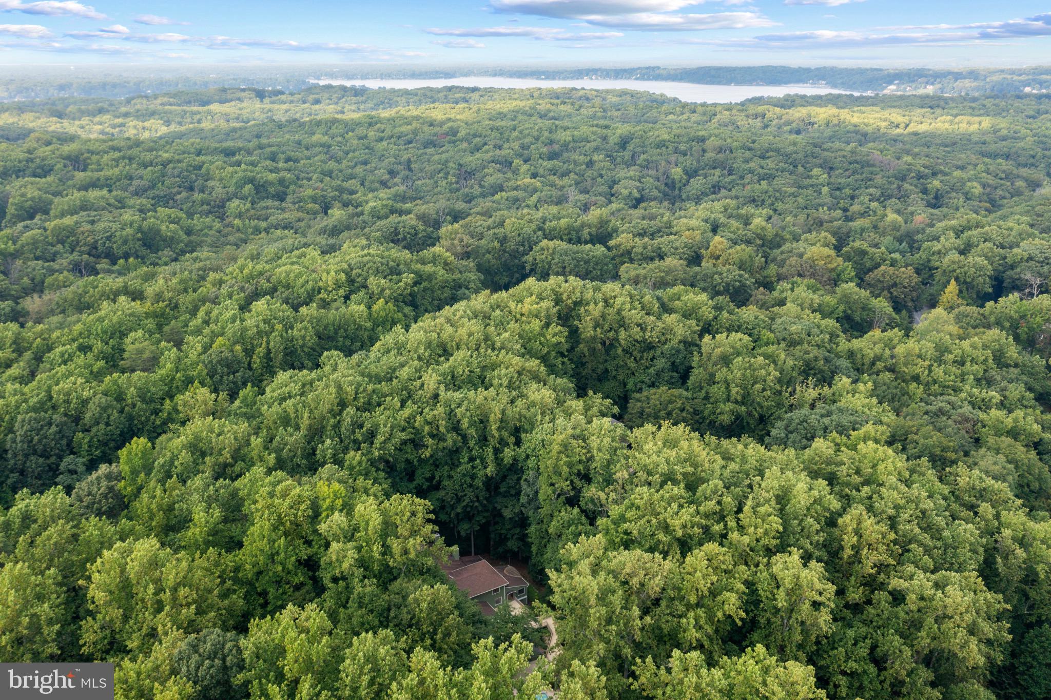 THE WOODS - Residential