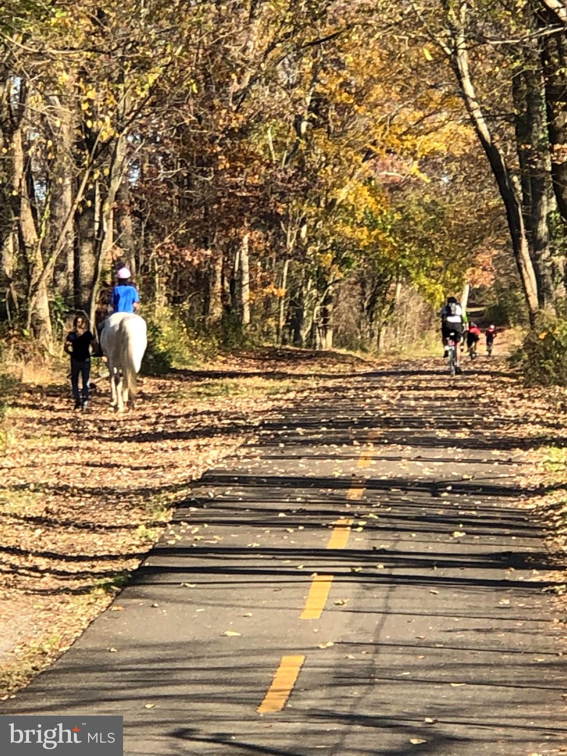 PURCELLVILLE - Residential