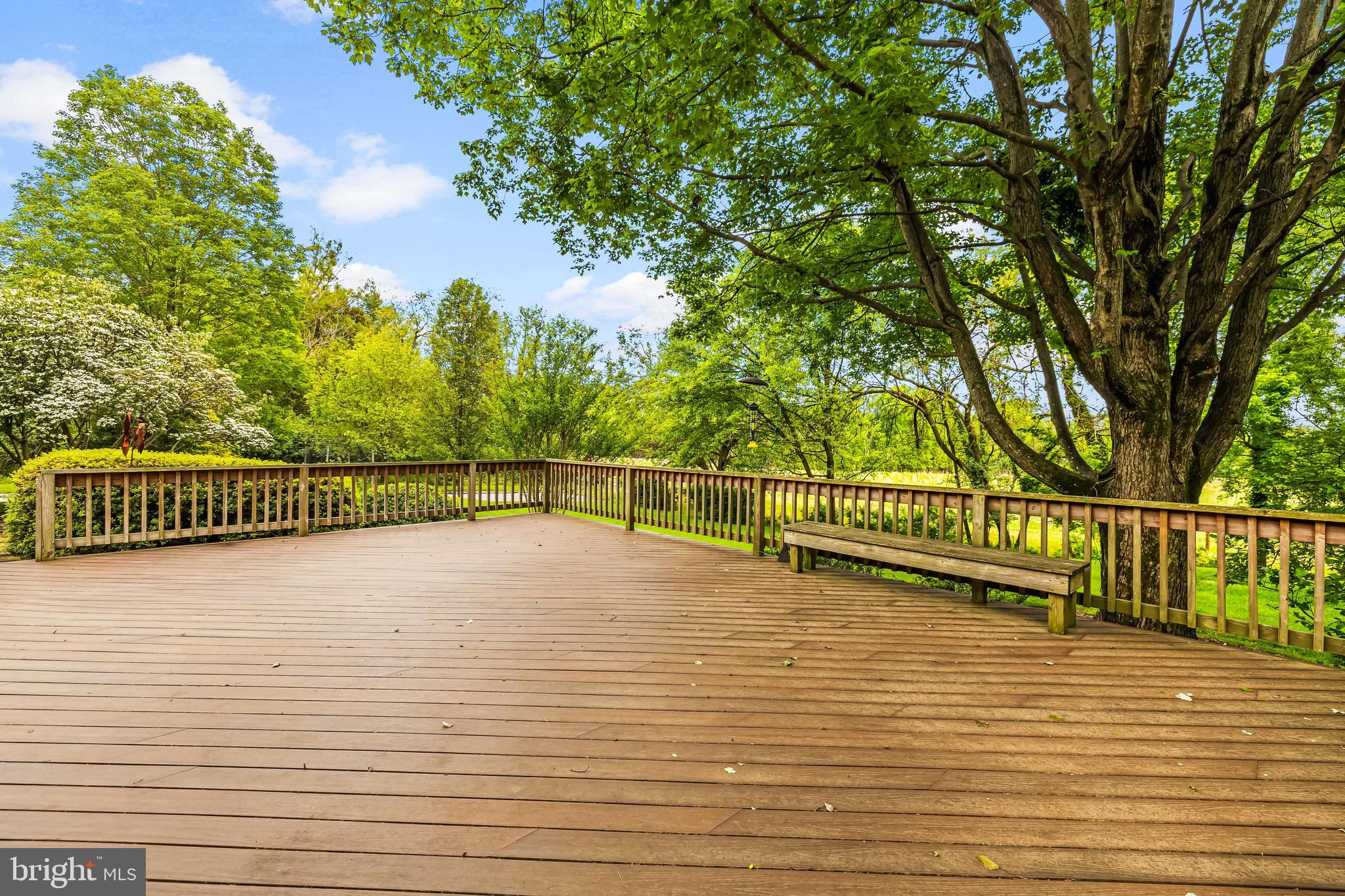 THE MEADOWS OF GREEN SPRING - Residential