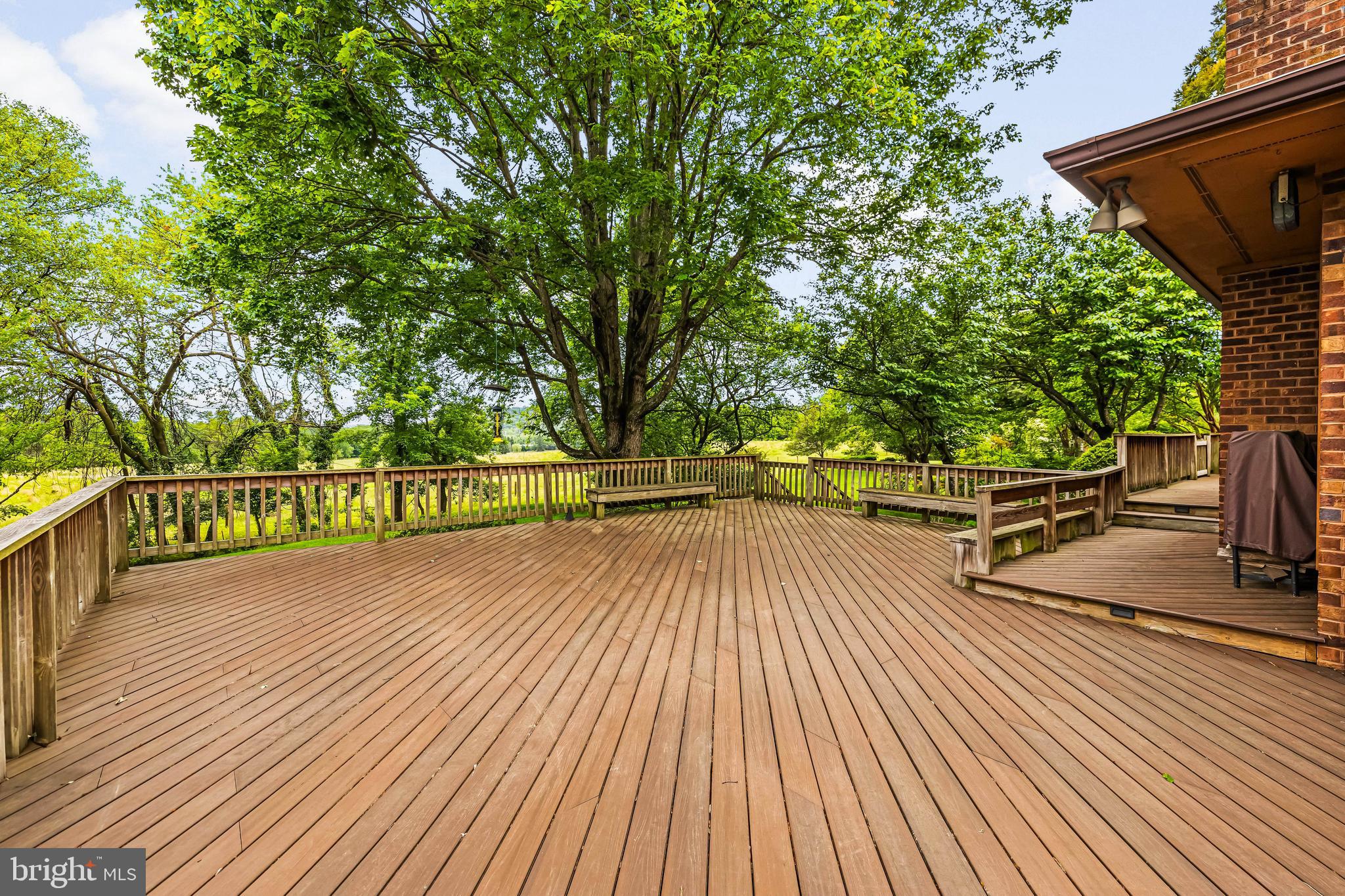 THE MEADOWS OF GREEN SPRING - Residential