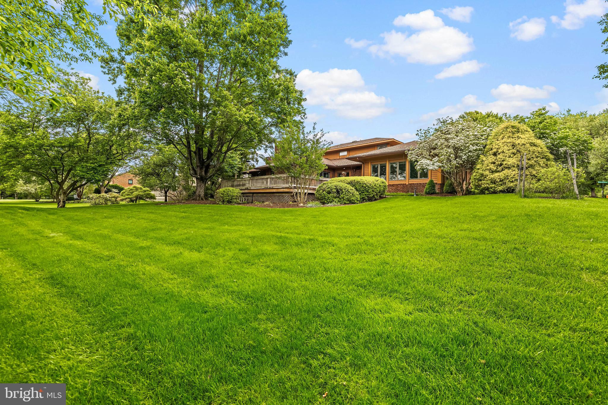 THE MEADOWS OF GREEN SPRING - Residential