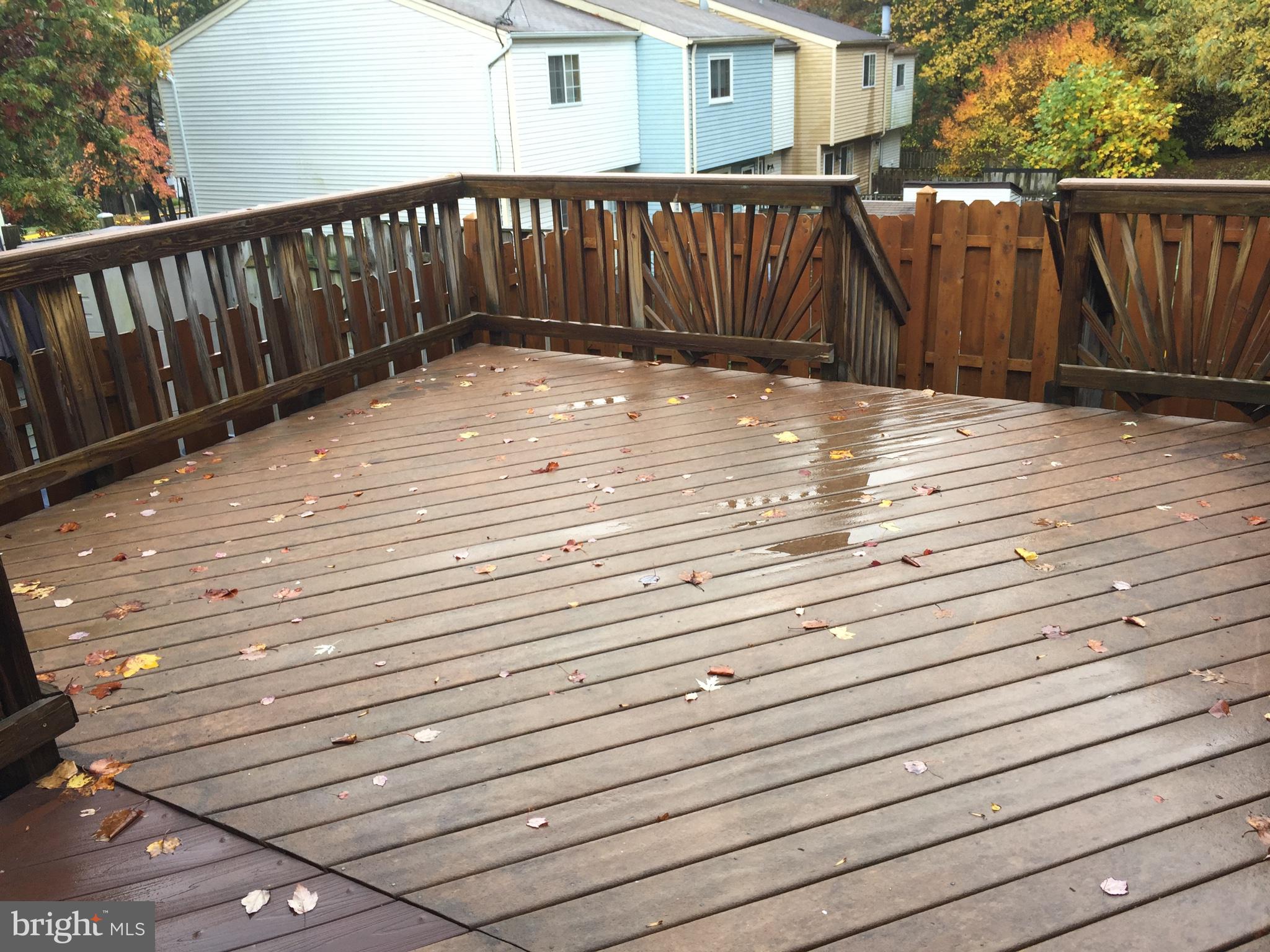 NEWINGTON FOREST - Residential Lease