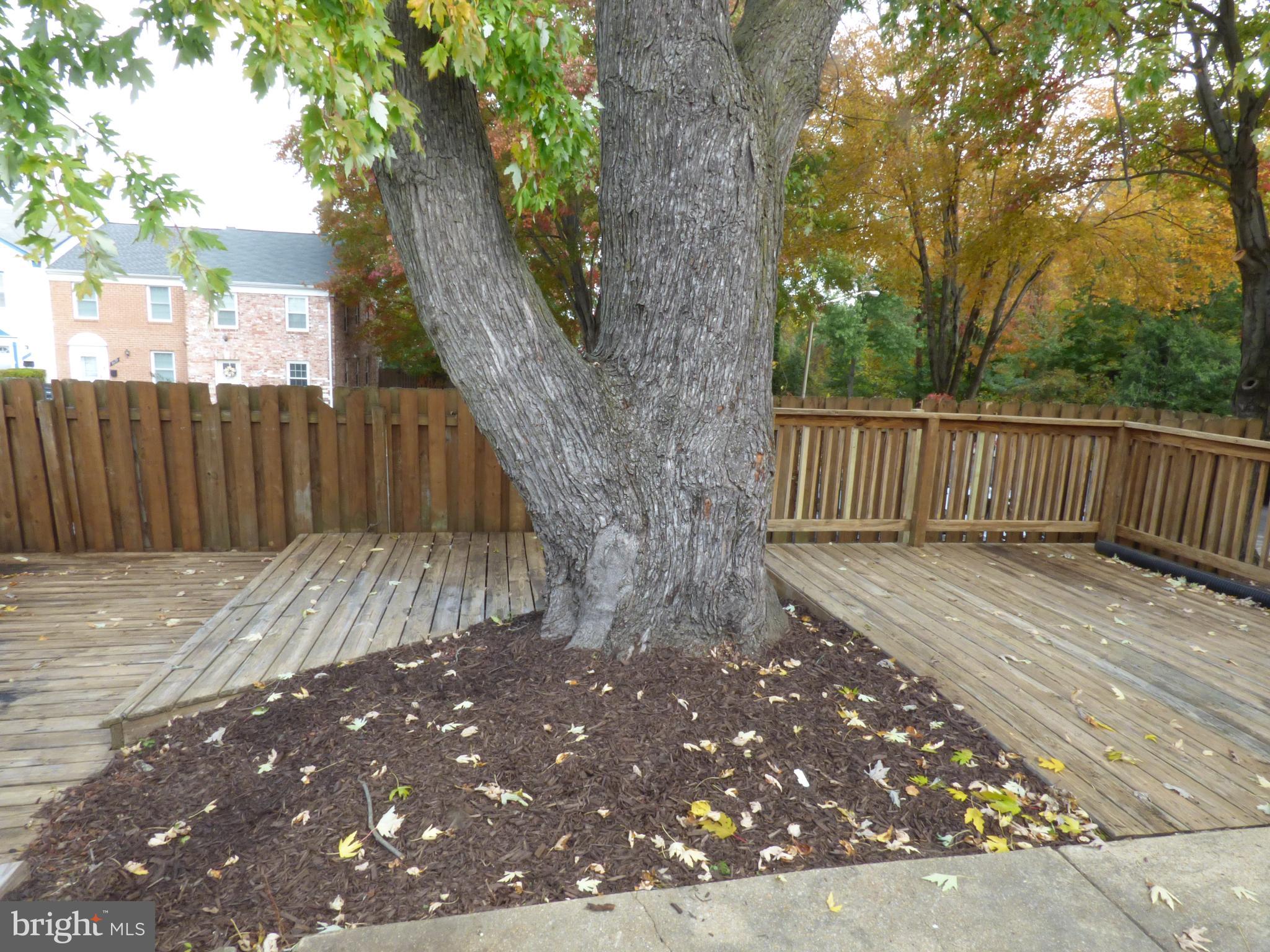 GEORGETOWN VILLAGE - Residential