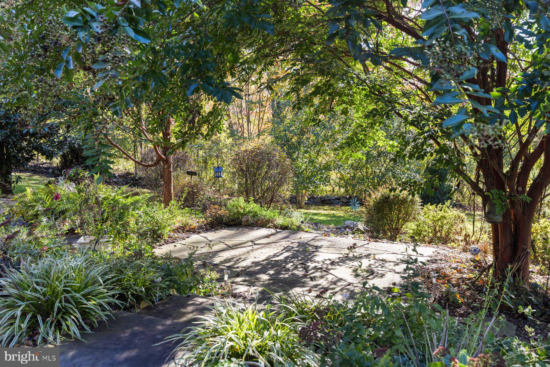 WOODS AT SPRINGHOUSE STATION - Residential