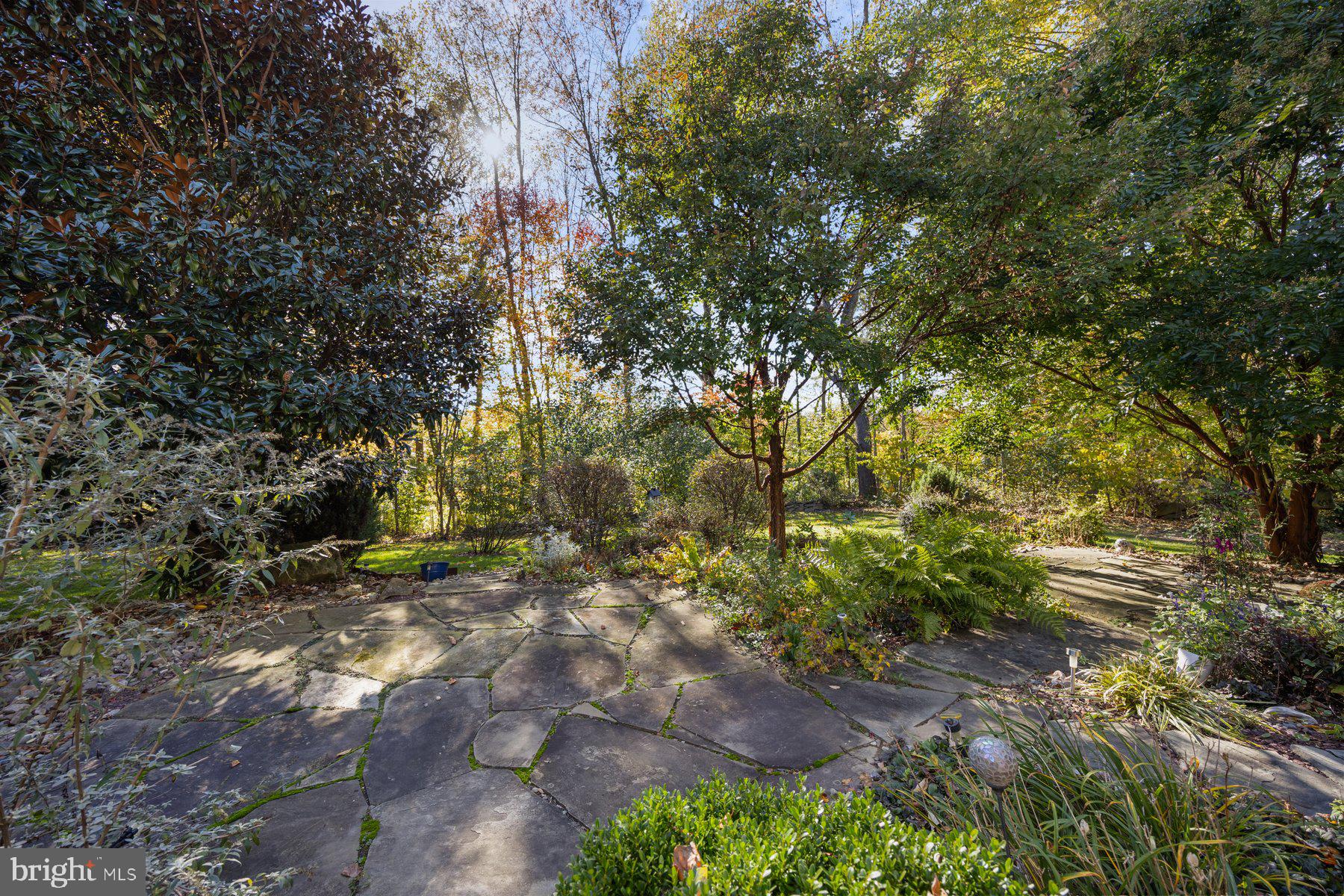 WOODS AT SPRINGHOUSE STATION - Residential